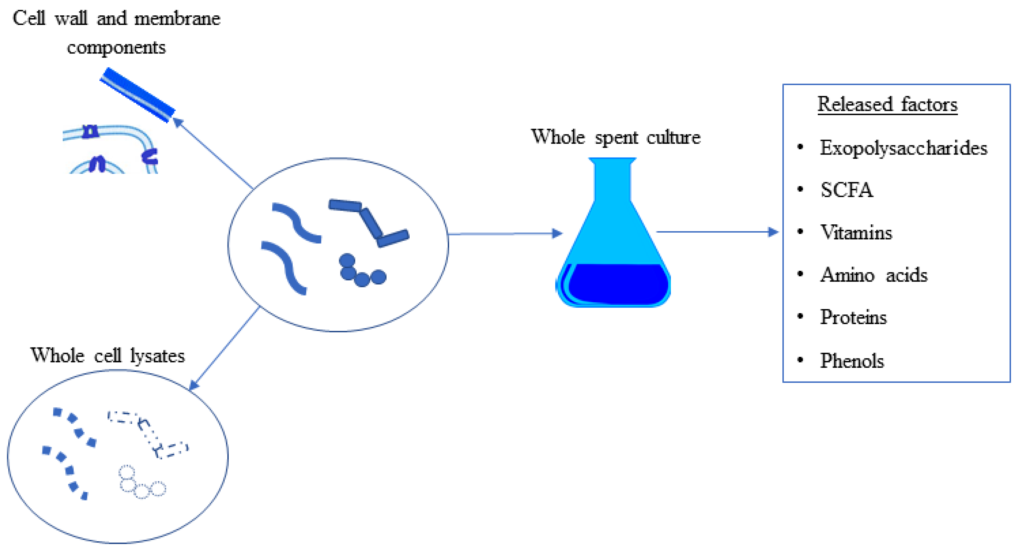 Biomolecules 12 00729 g003