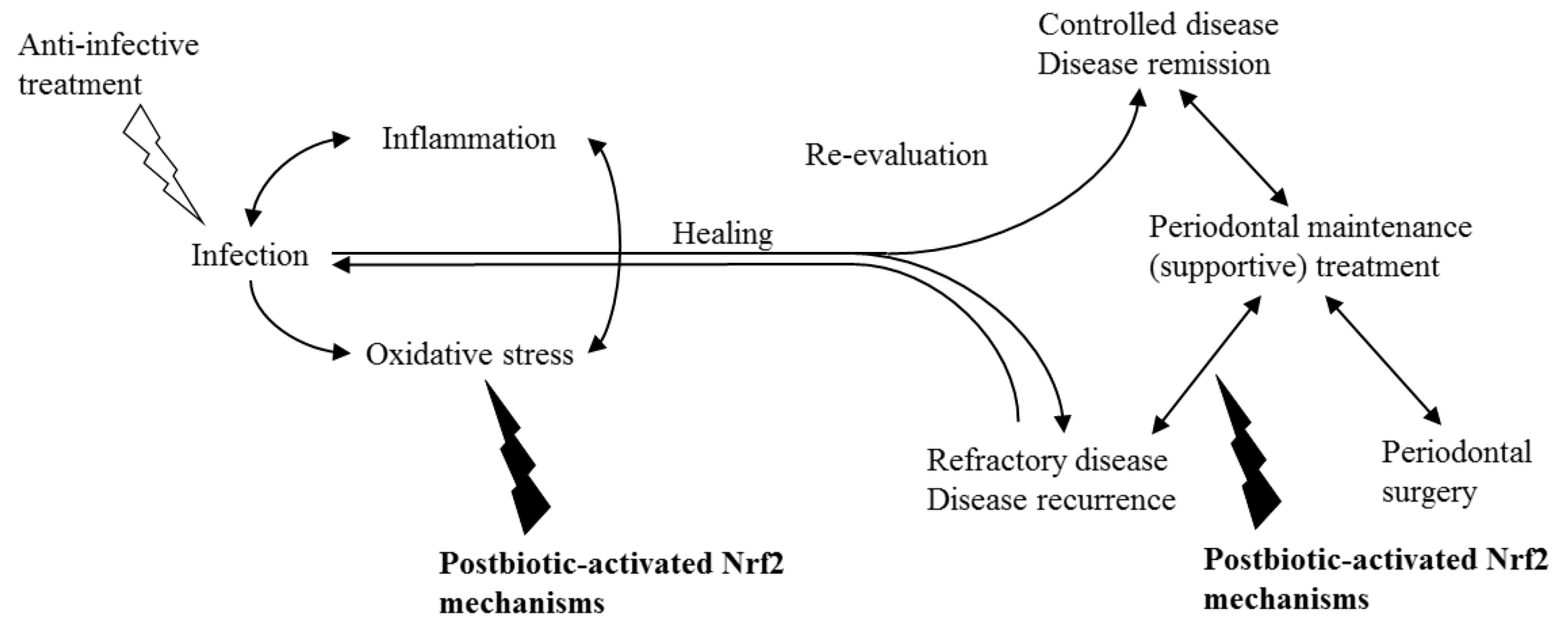 Biomolecules 12 00729 g004