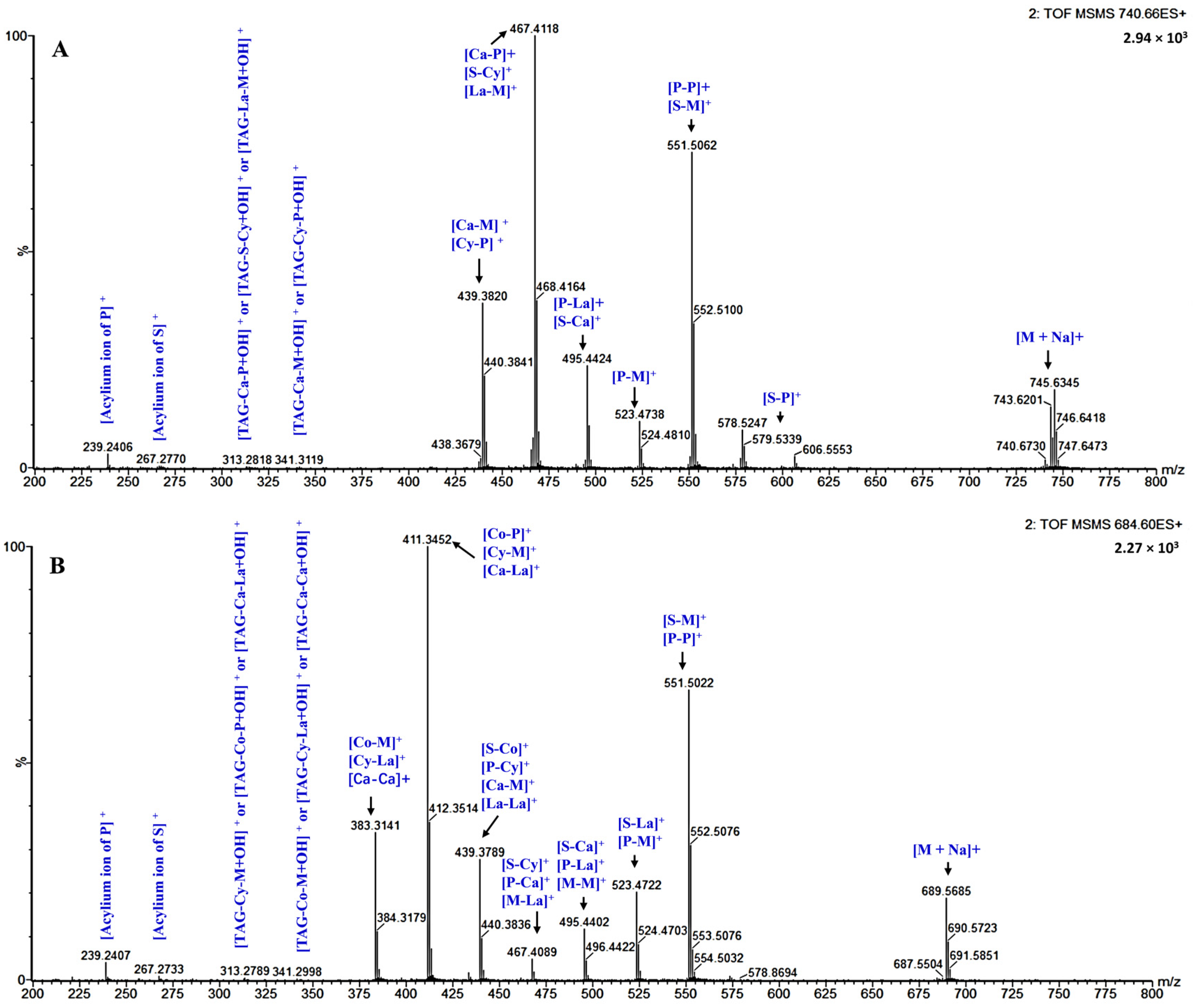 Biomolecules 12 00730 g002 Biomolecules 12 00730 g002