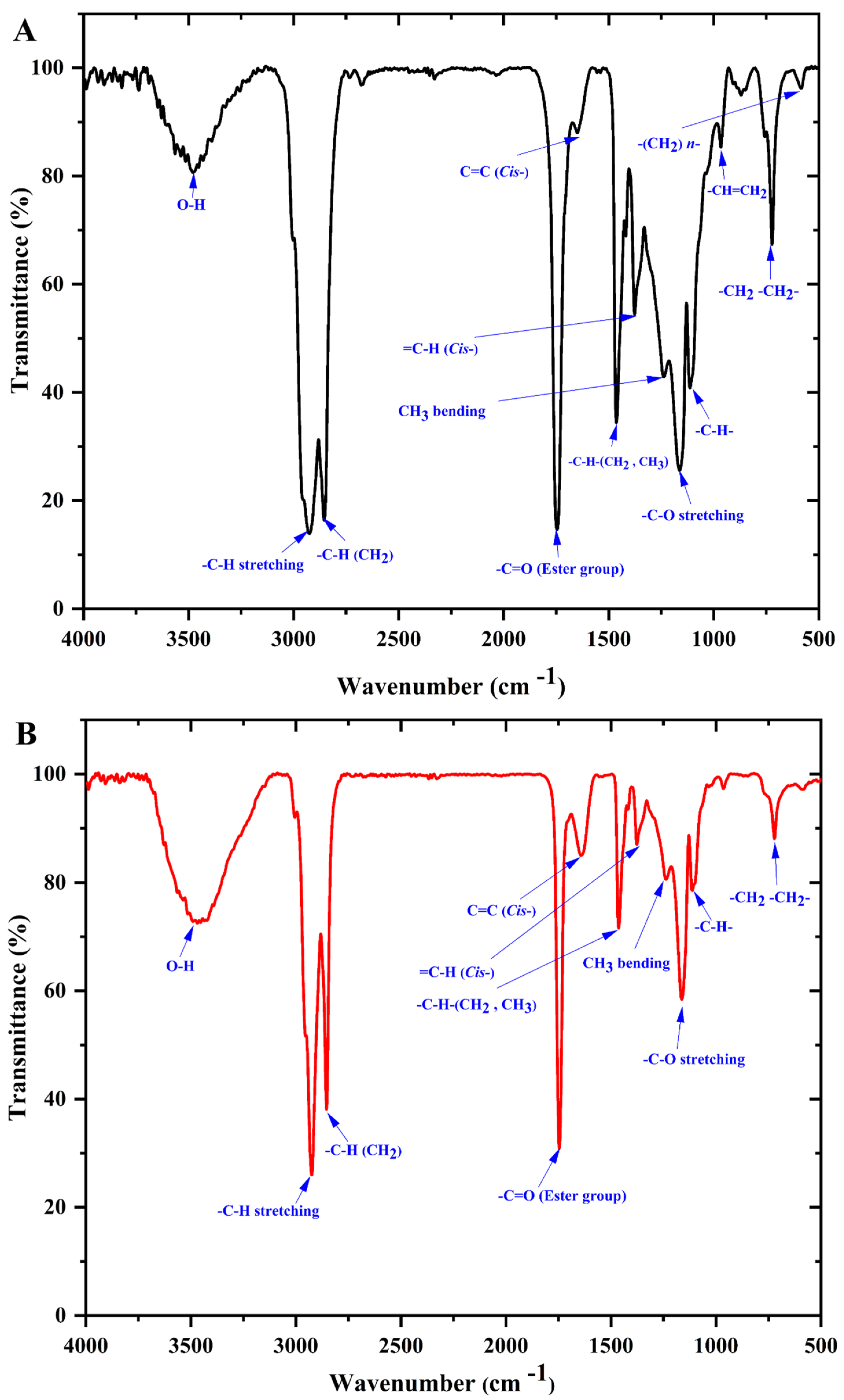 Biomolecules 12 00730 g005 Biomolecules 12 00730 g005