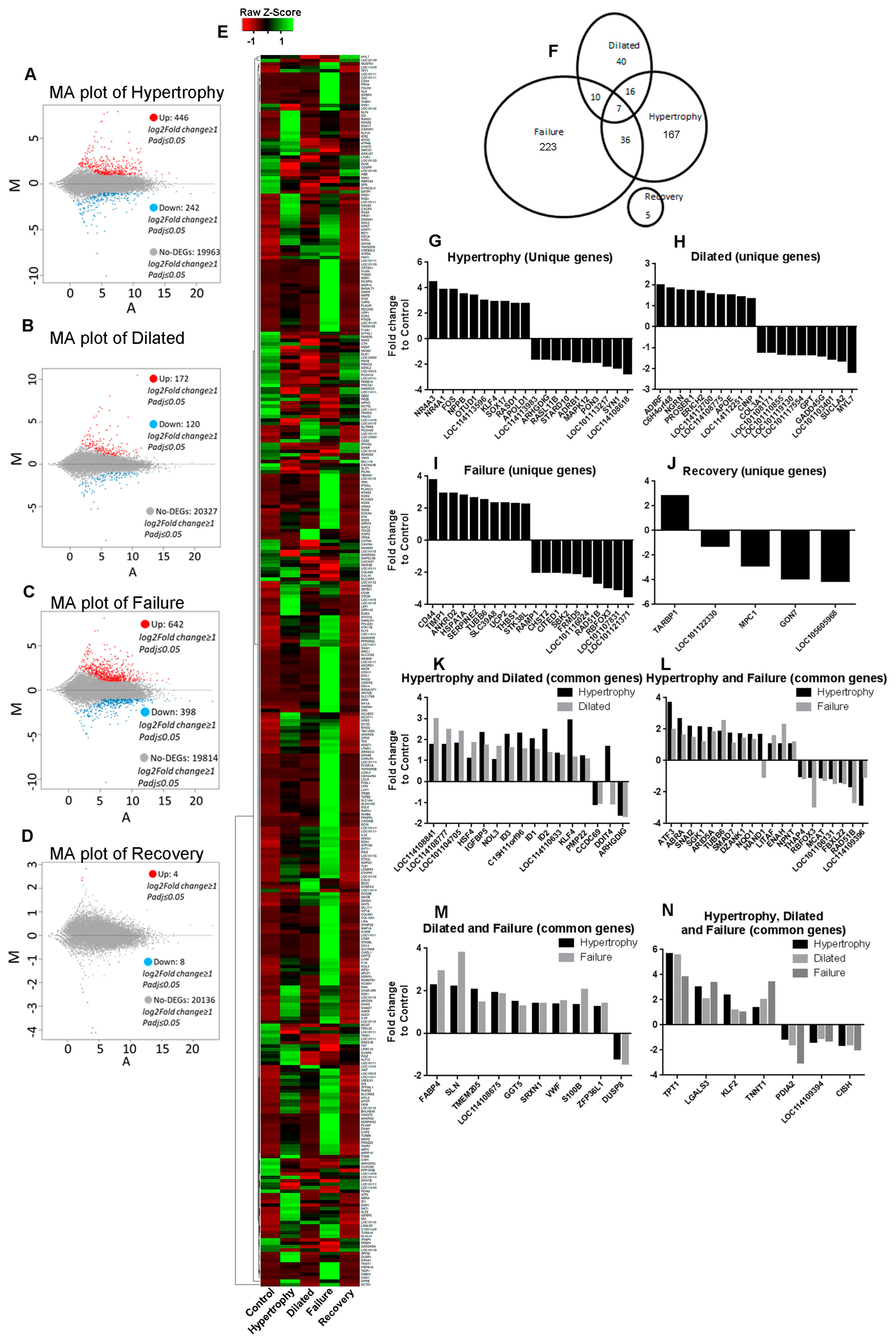 Biomolecules 12 00731 g002 Biomolecules 12 00731 g002