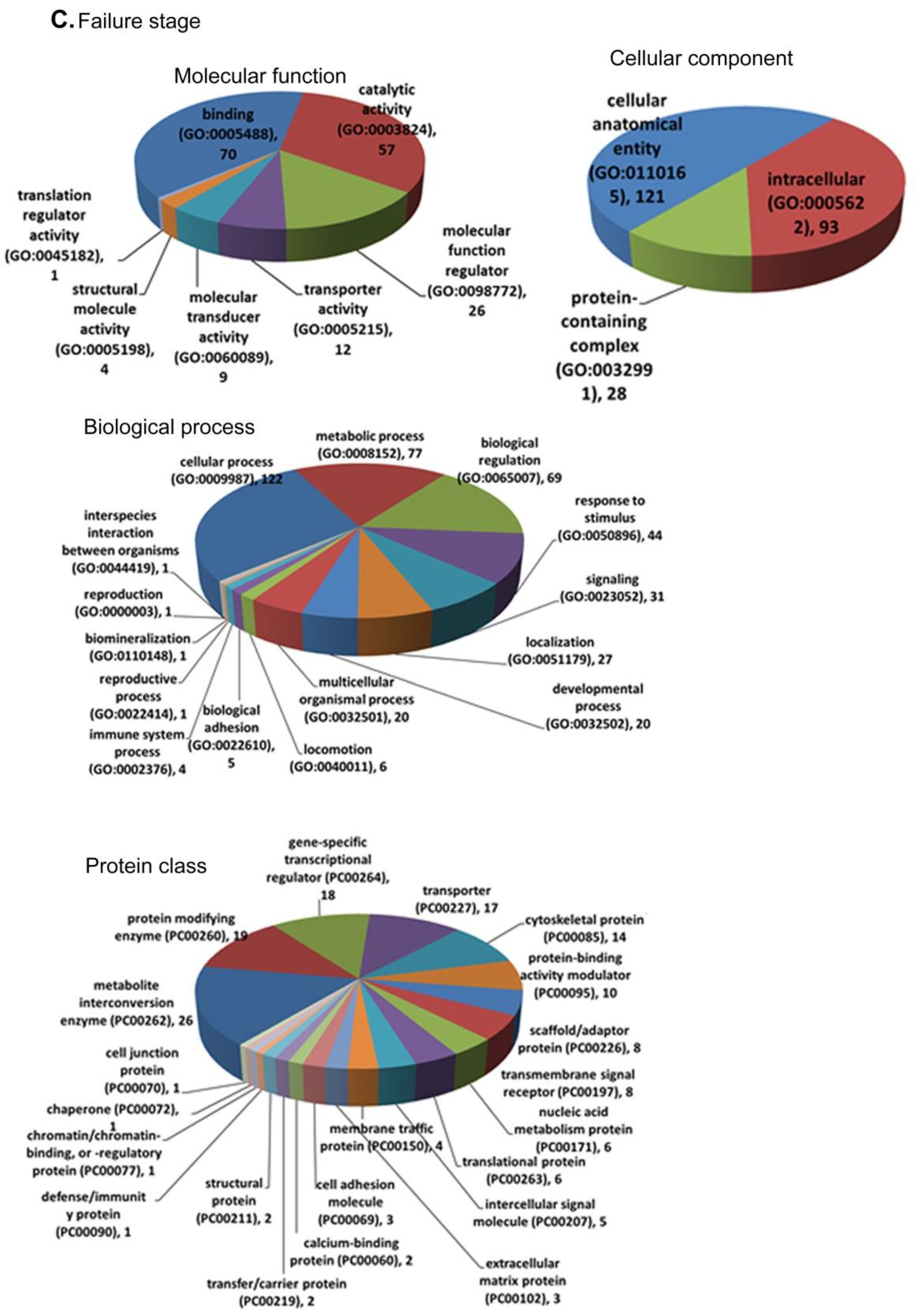 Biomolecules 12 00731 g004c Biomolecules 12 00731 g004c