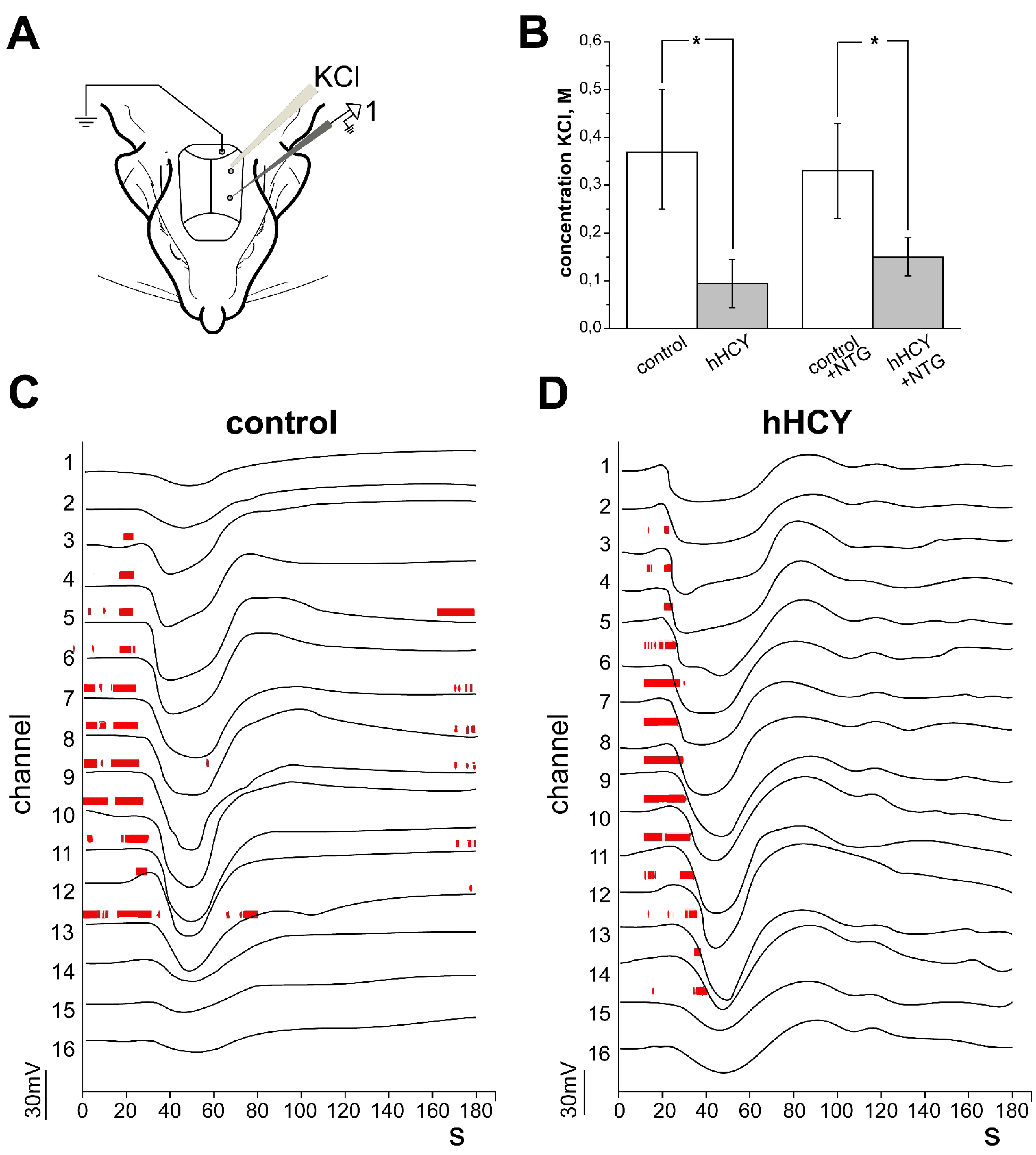 Biomolecules 12 00735 g003