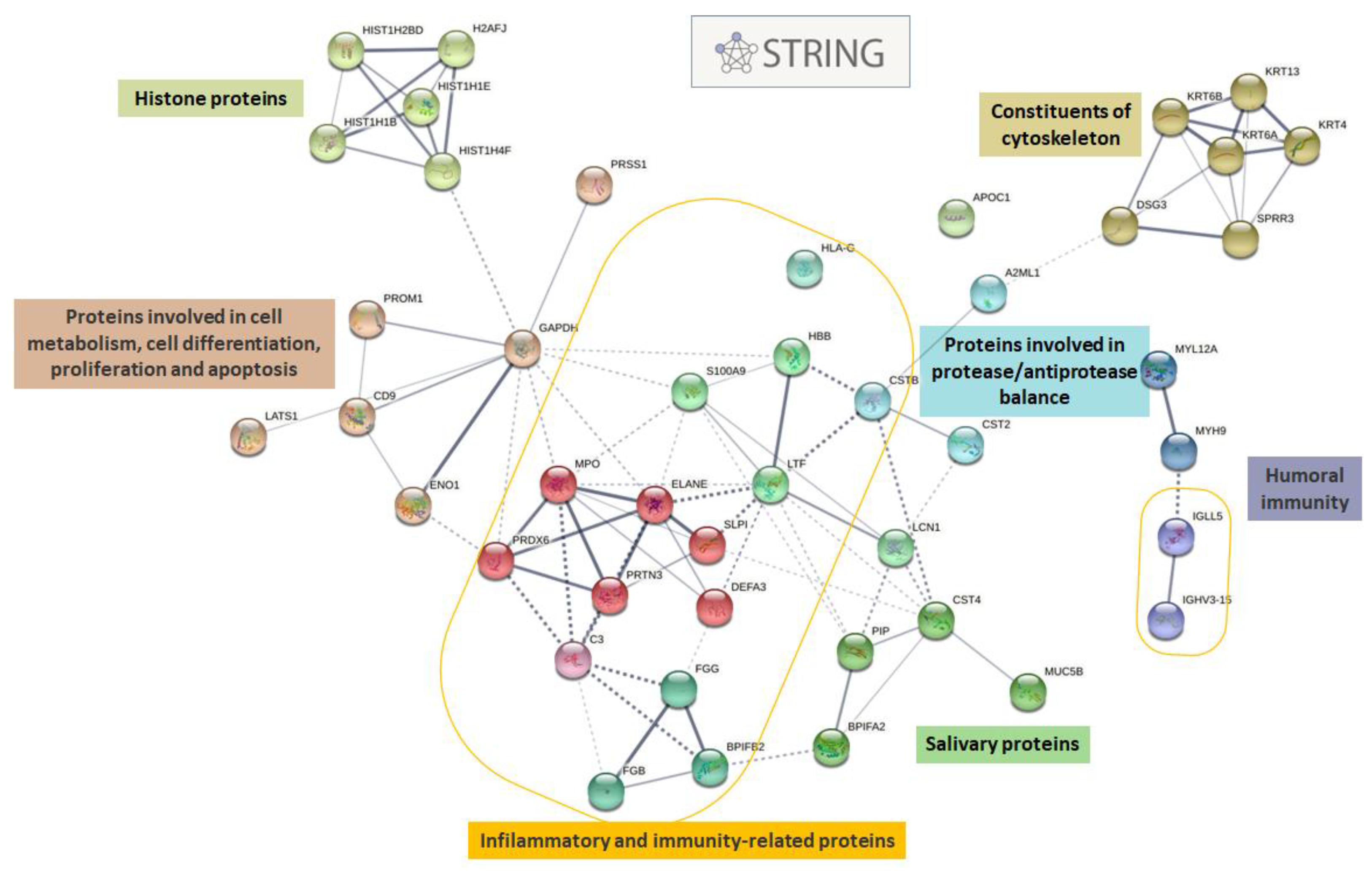 Biomolecules 12 00738 g002 550