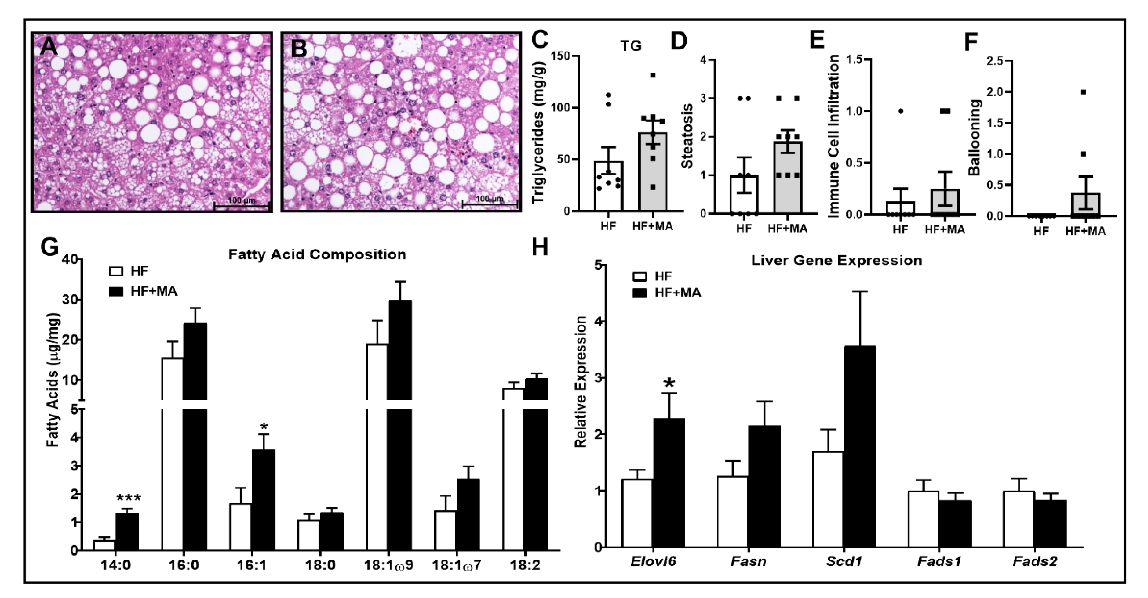 Biomolecules 12 00739 g007 Biomolecules 12 00739 g007