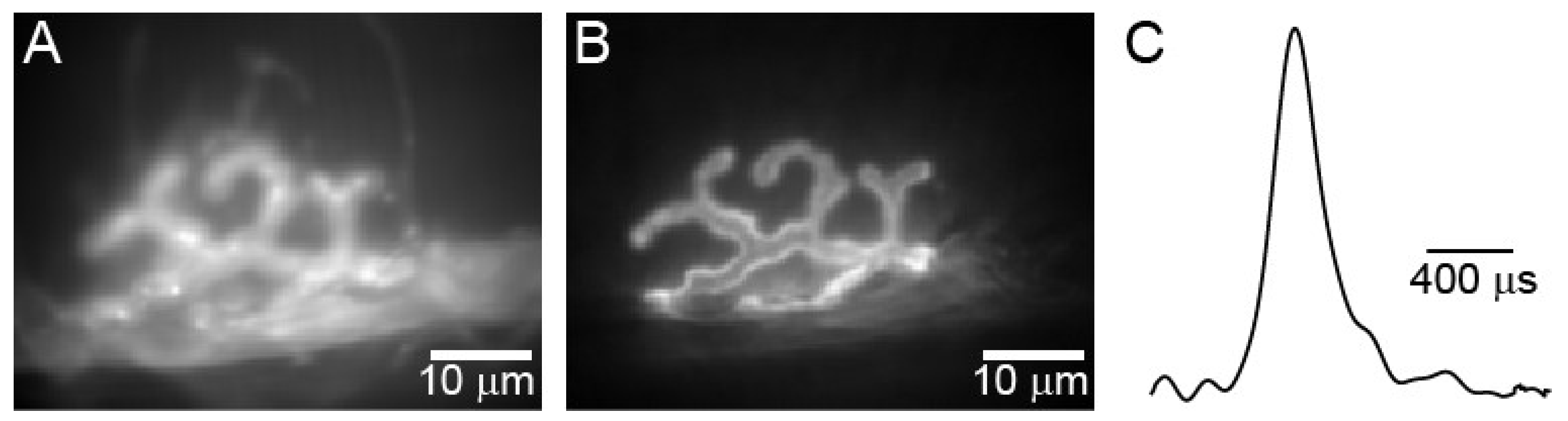 Biomolecules 12 00740 g001 Biomolecules 12 00740 g001