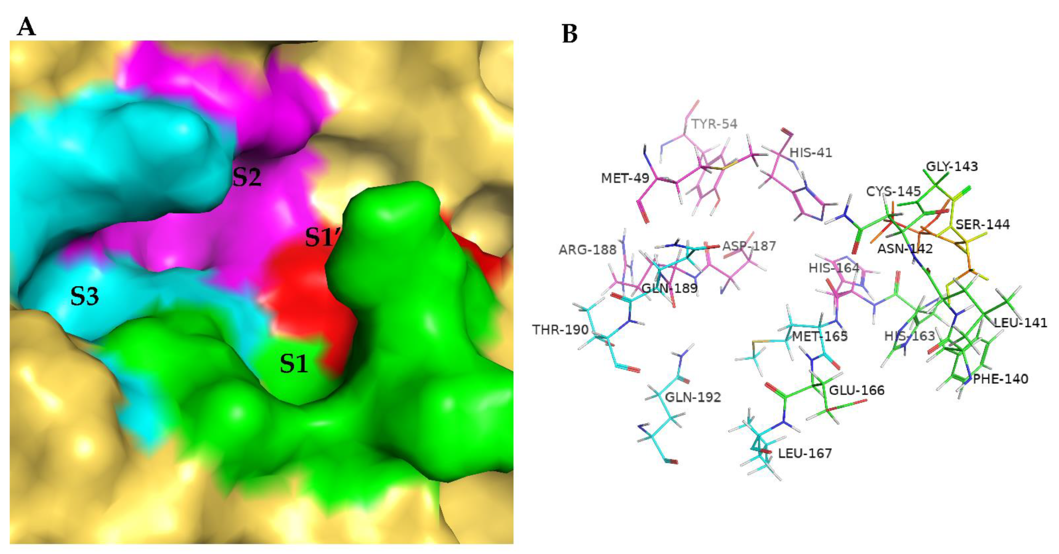 Biomolecules 12 00746 g010