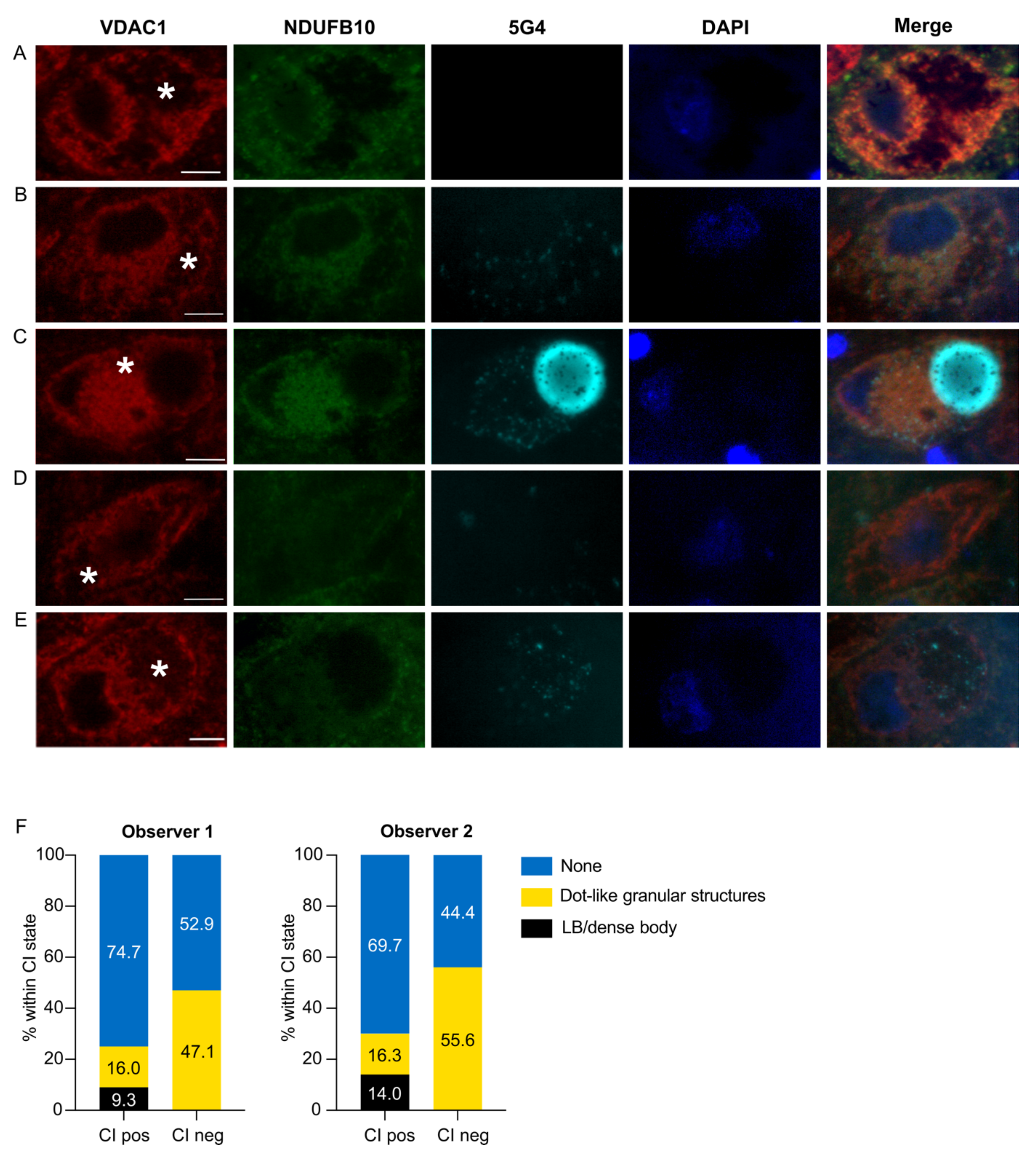Biomolecules 12 00747 g002