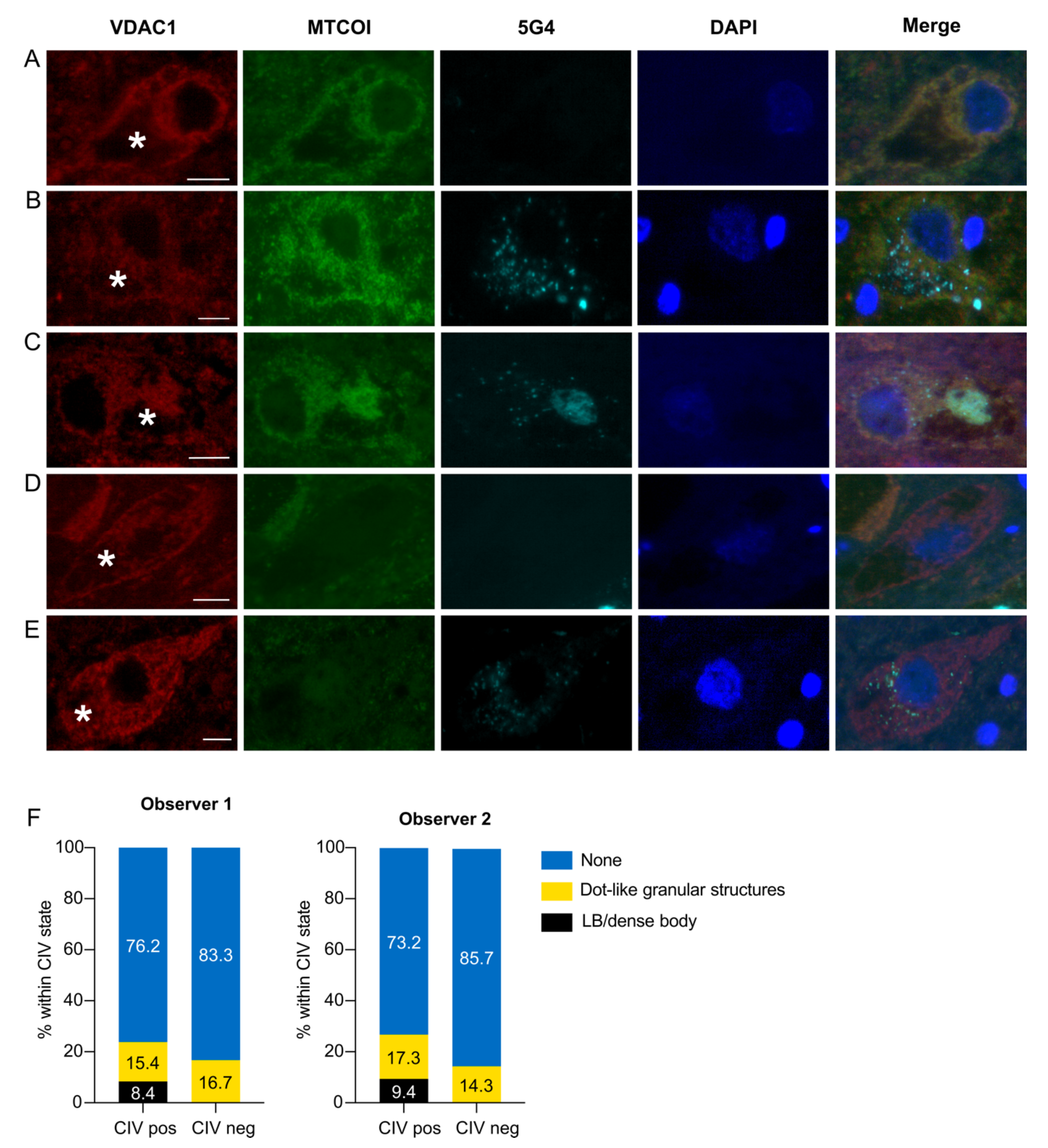 Biomolecules 12 00747 g003