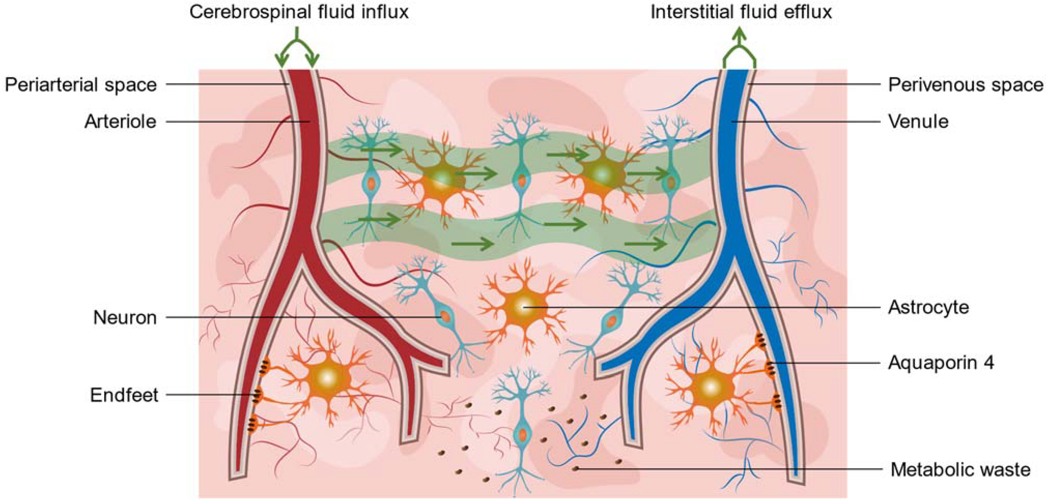 Biomolecules 12 00748 g002