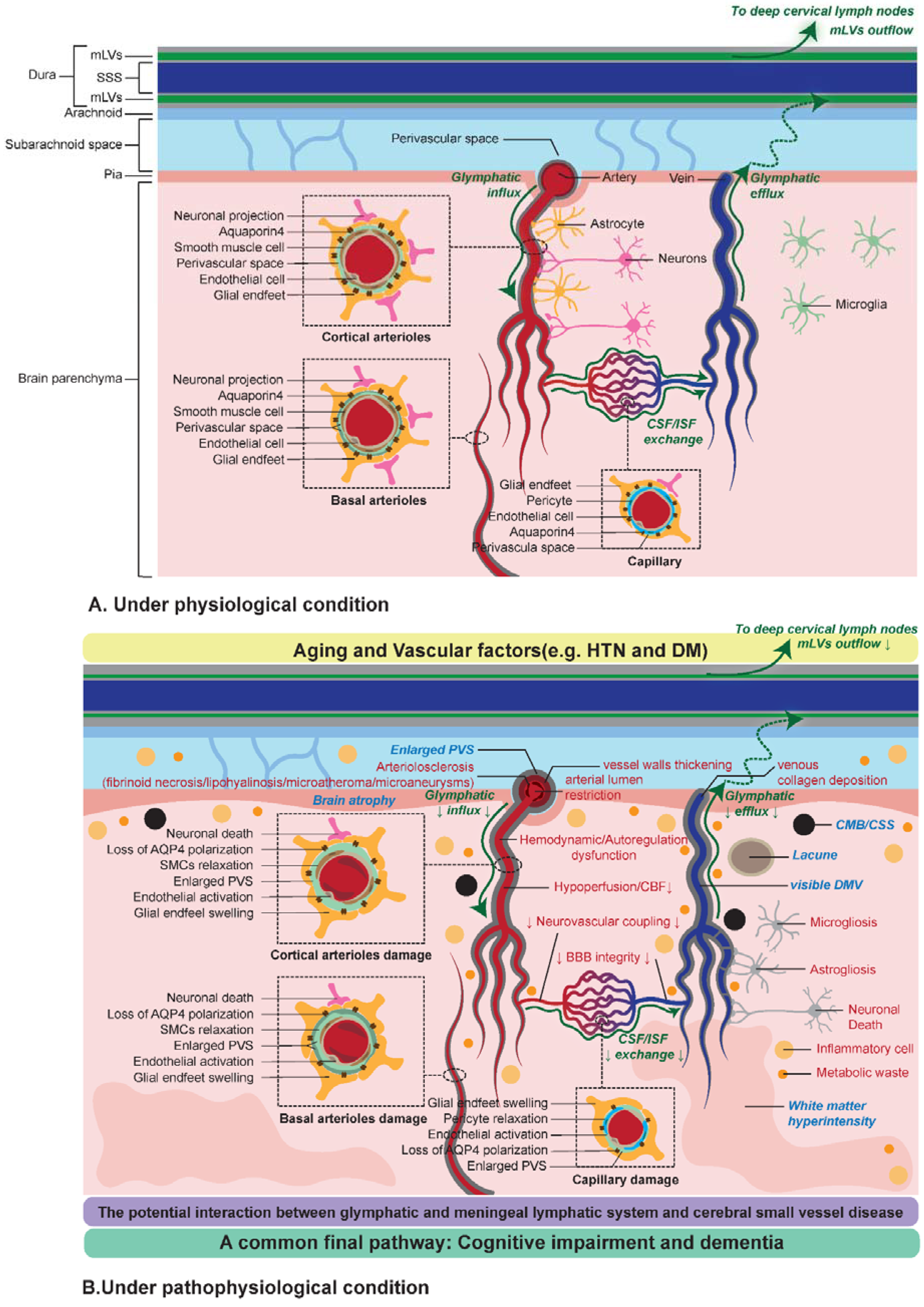 Biomolecules 12 00748 g004