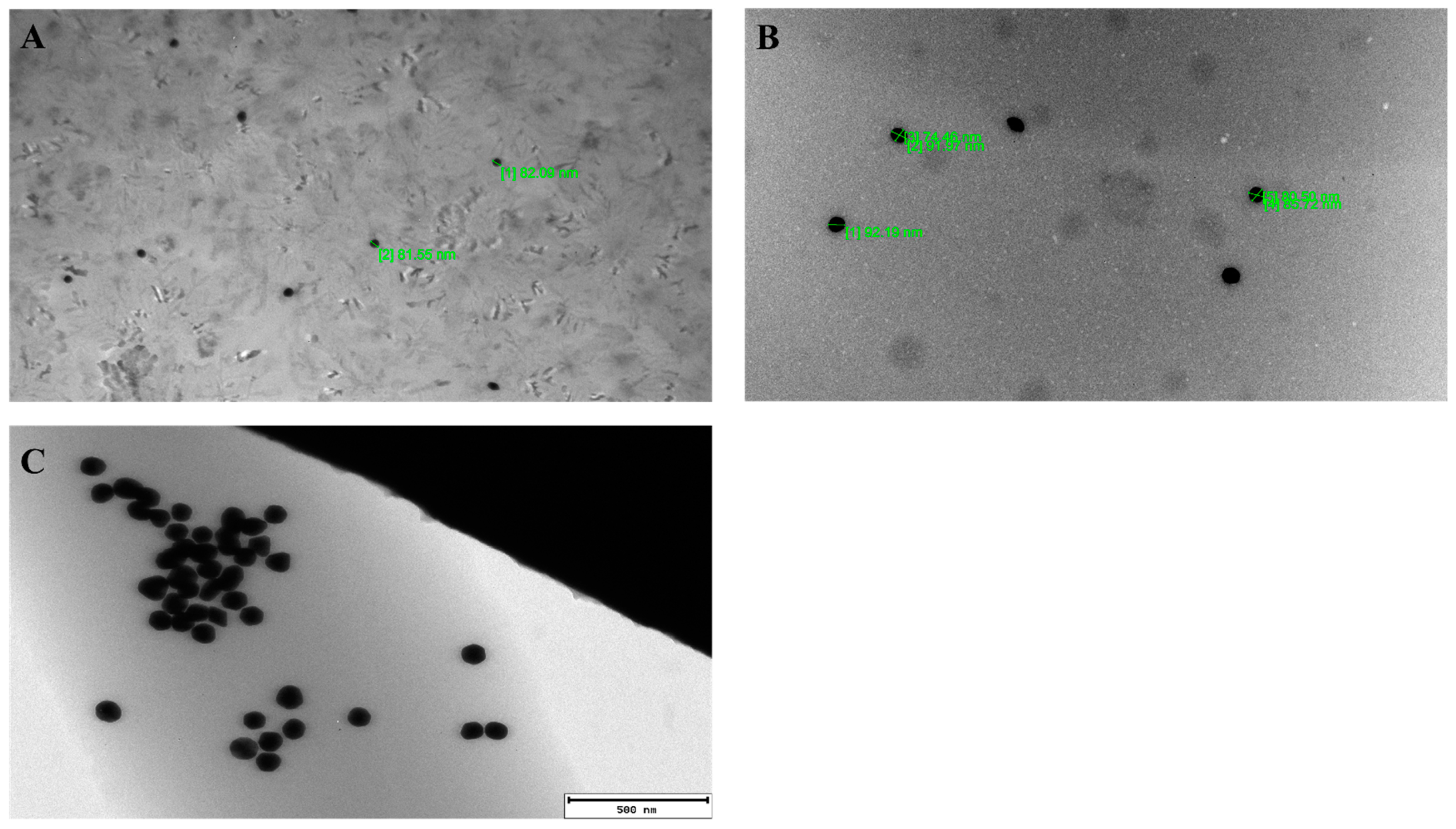Biomolecules 12 00749 g004 Biomolecules 12 00749 g004