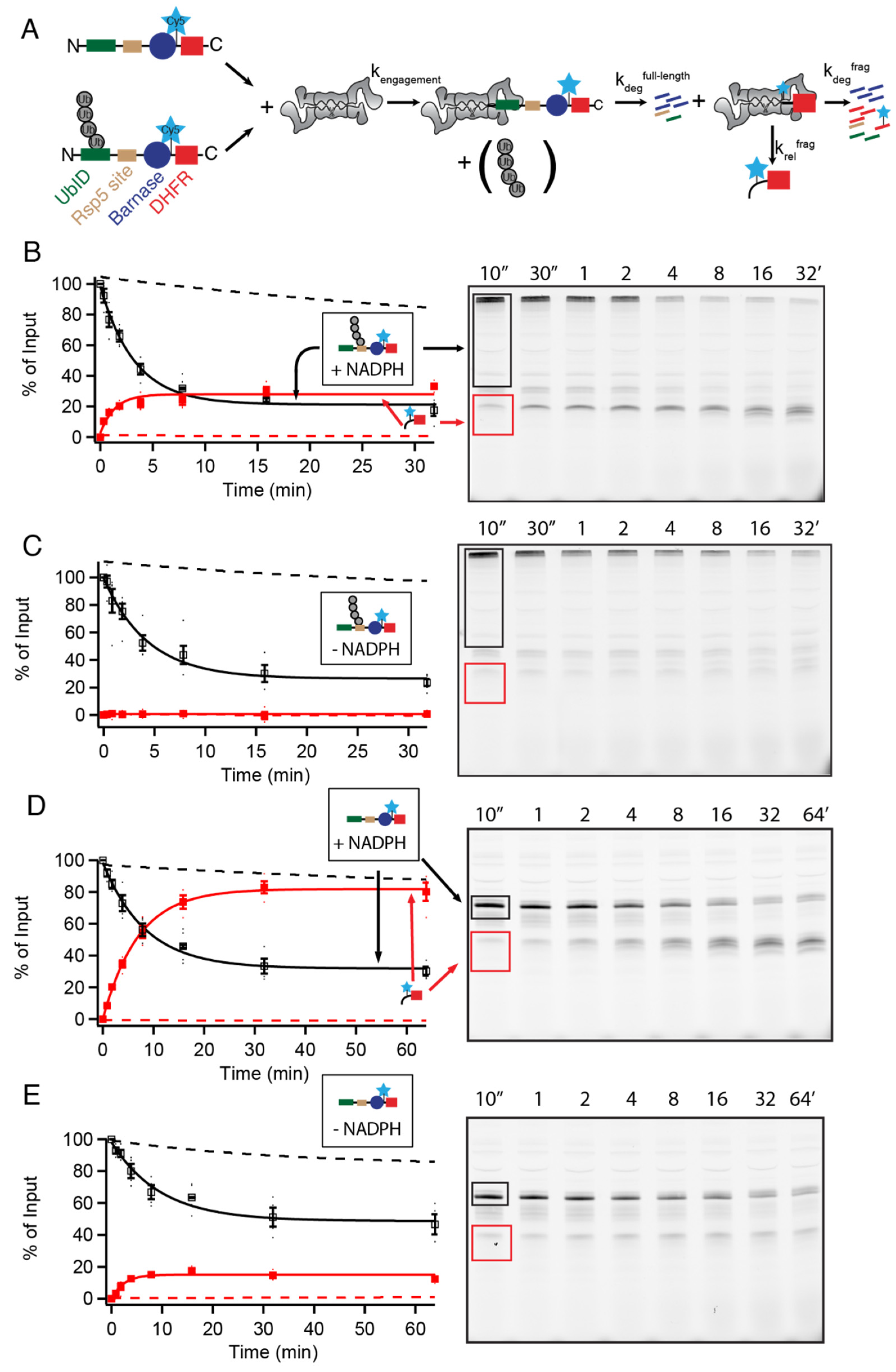 Biomolecules 12 00750 g001 550