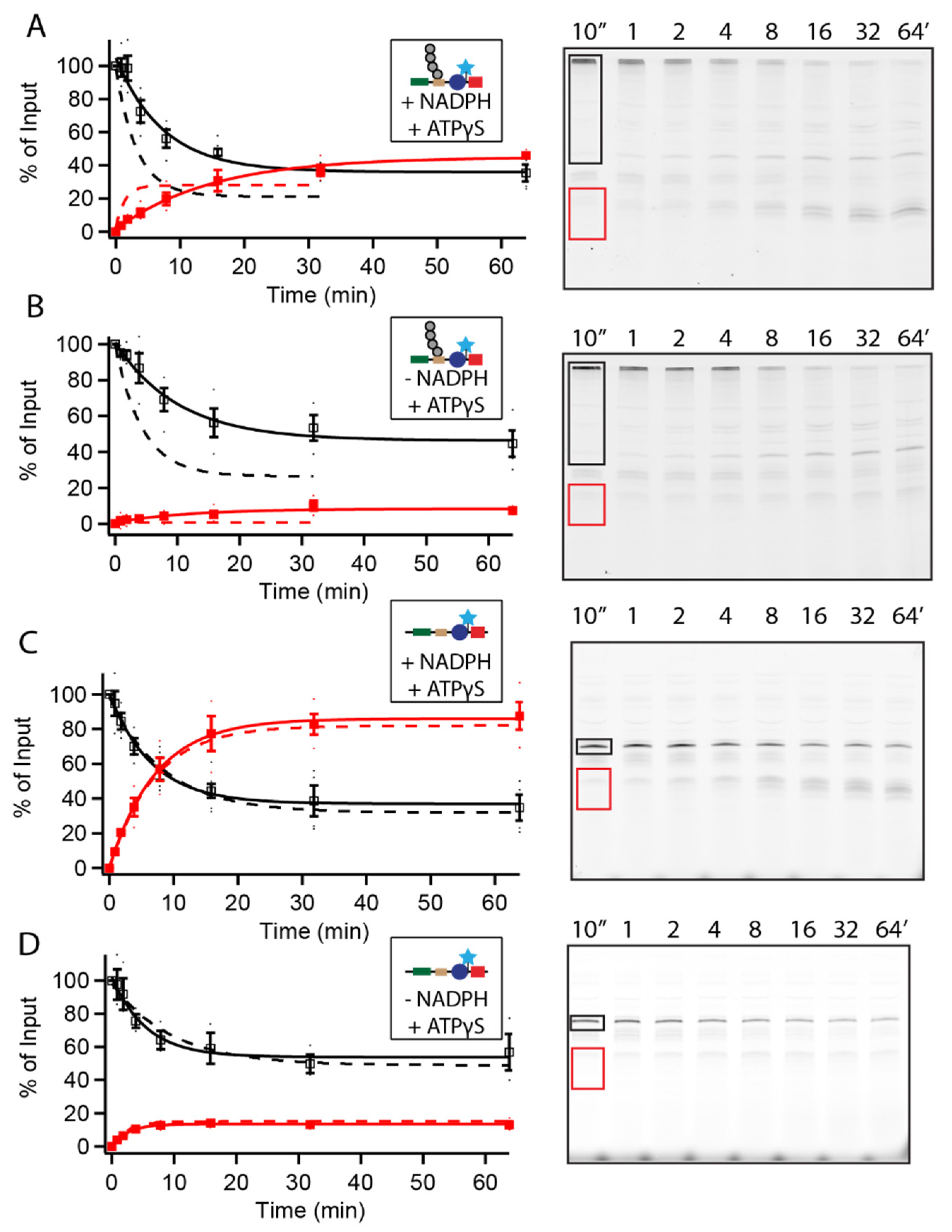 Biomolecules 12 00750 g002 550