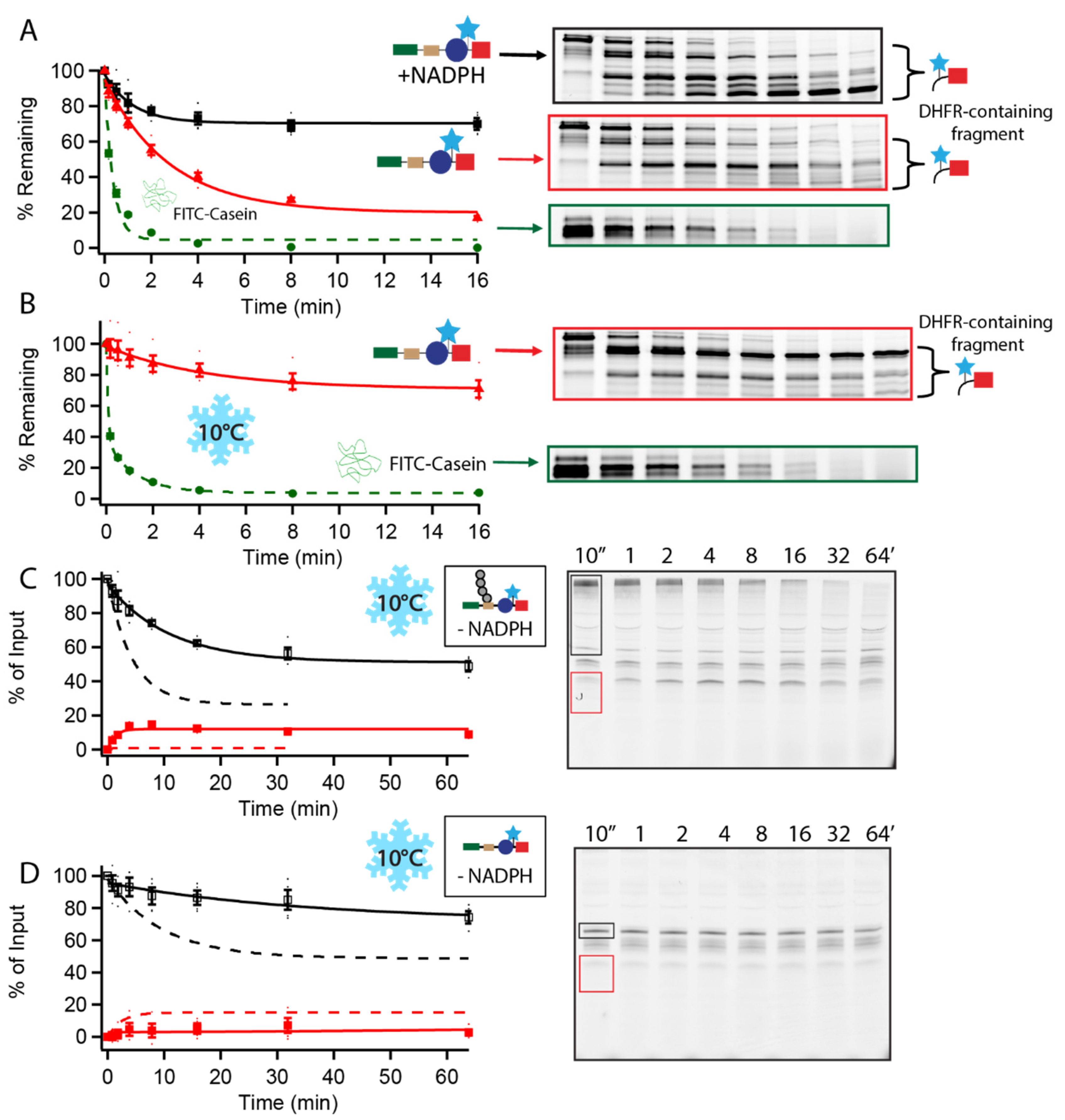 Biomolecules 12 00750 g003 550