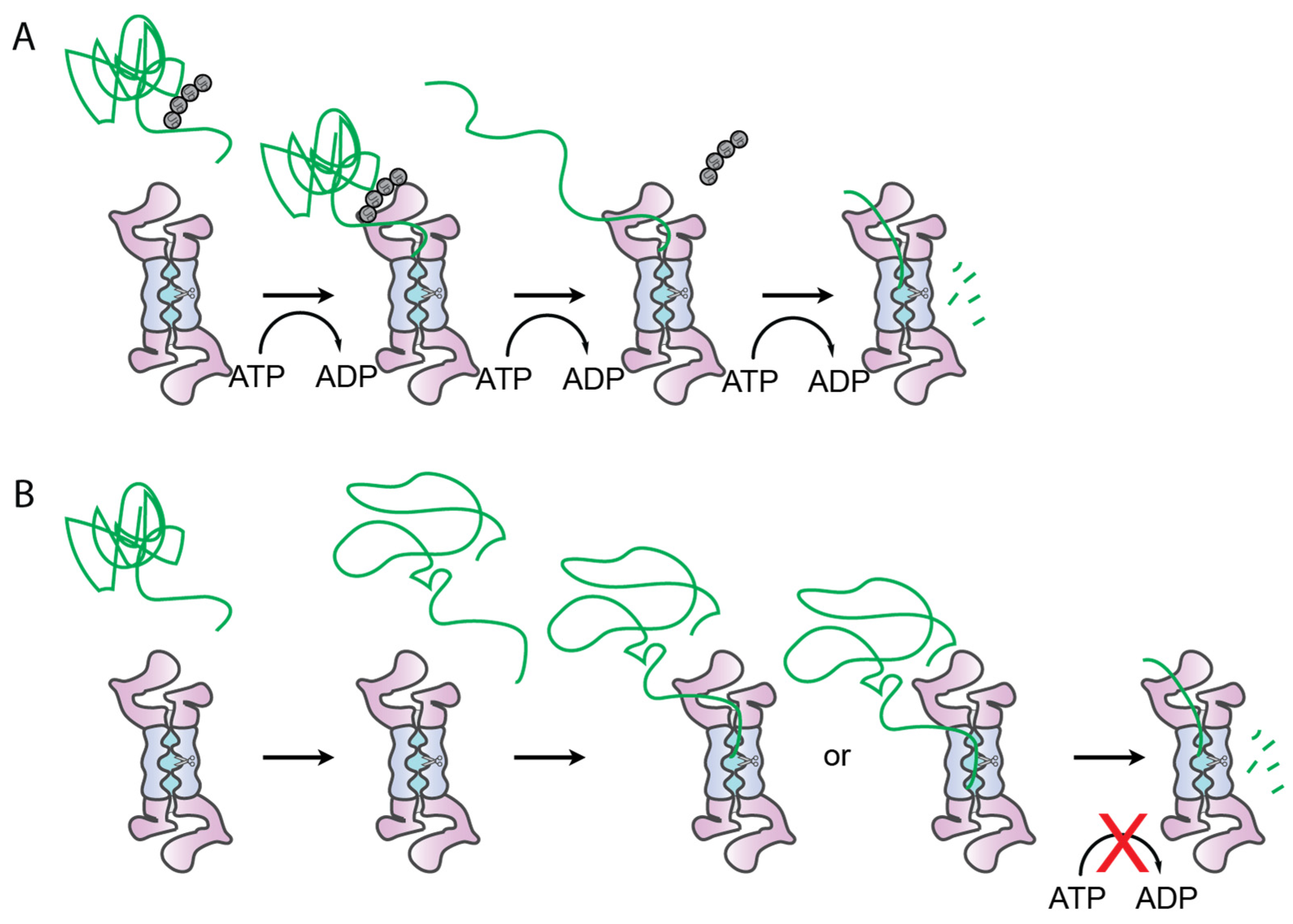 Biomolecules 12 00750 g004 550