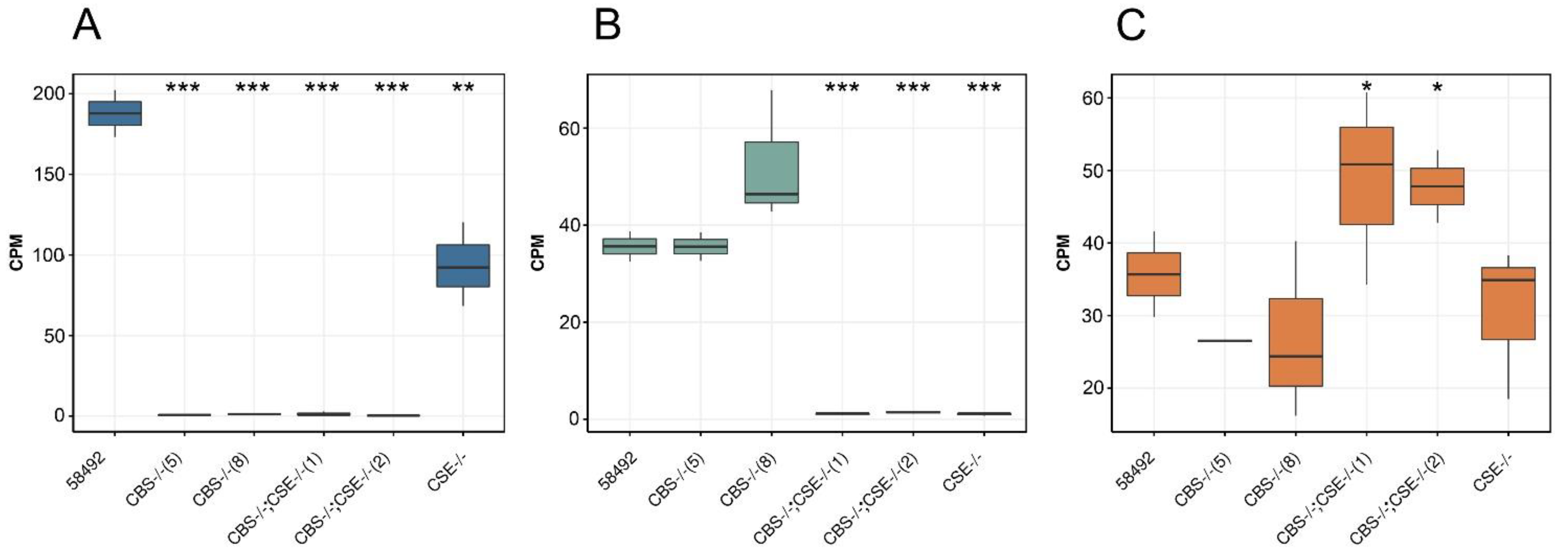 Biomolecules 12 00751 g003 550