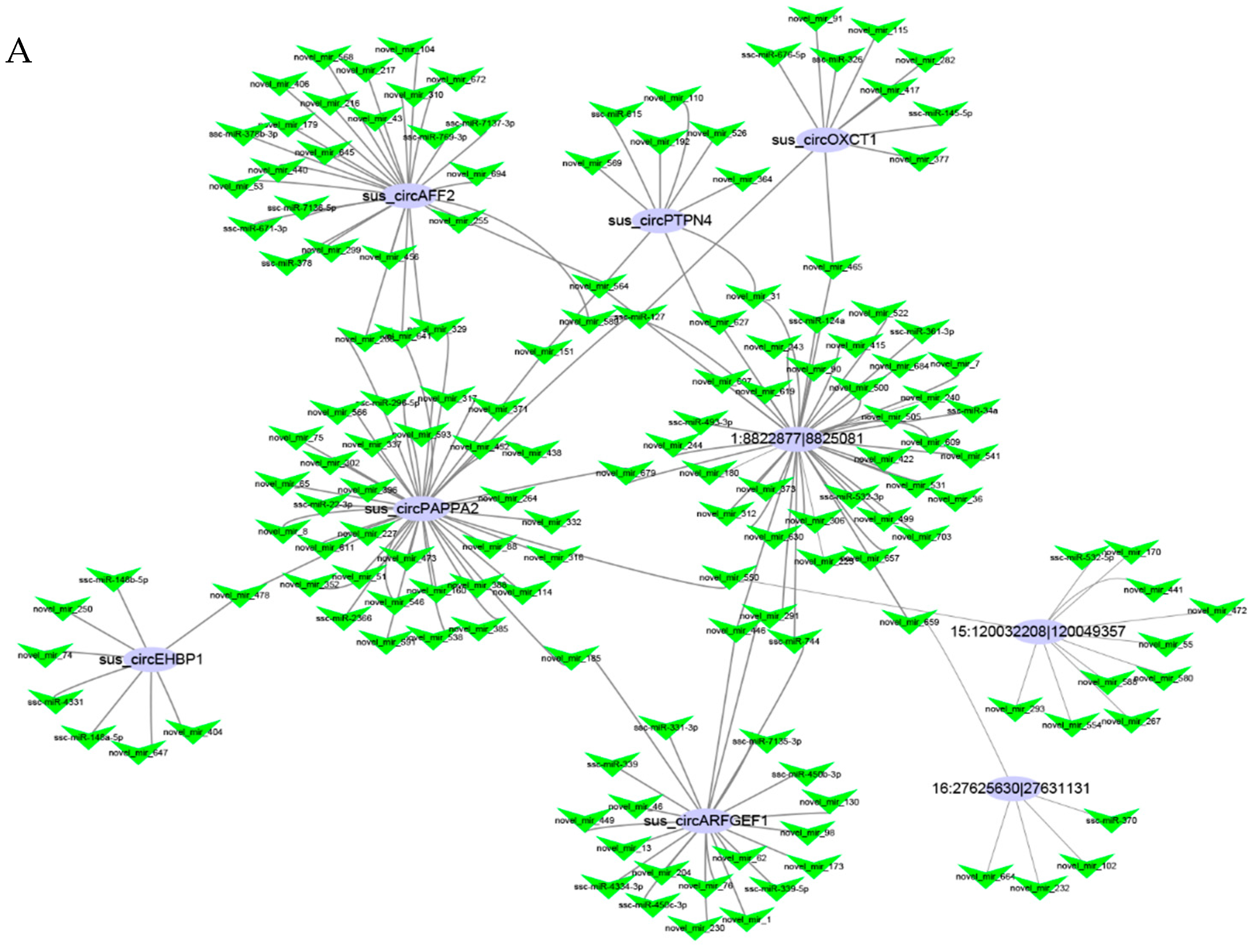 Biomolecules 12 00753 g004a