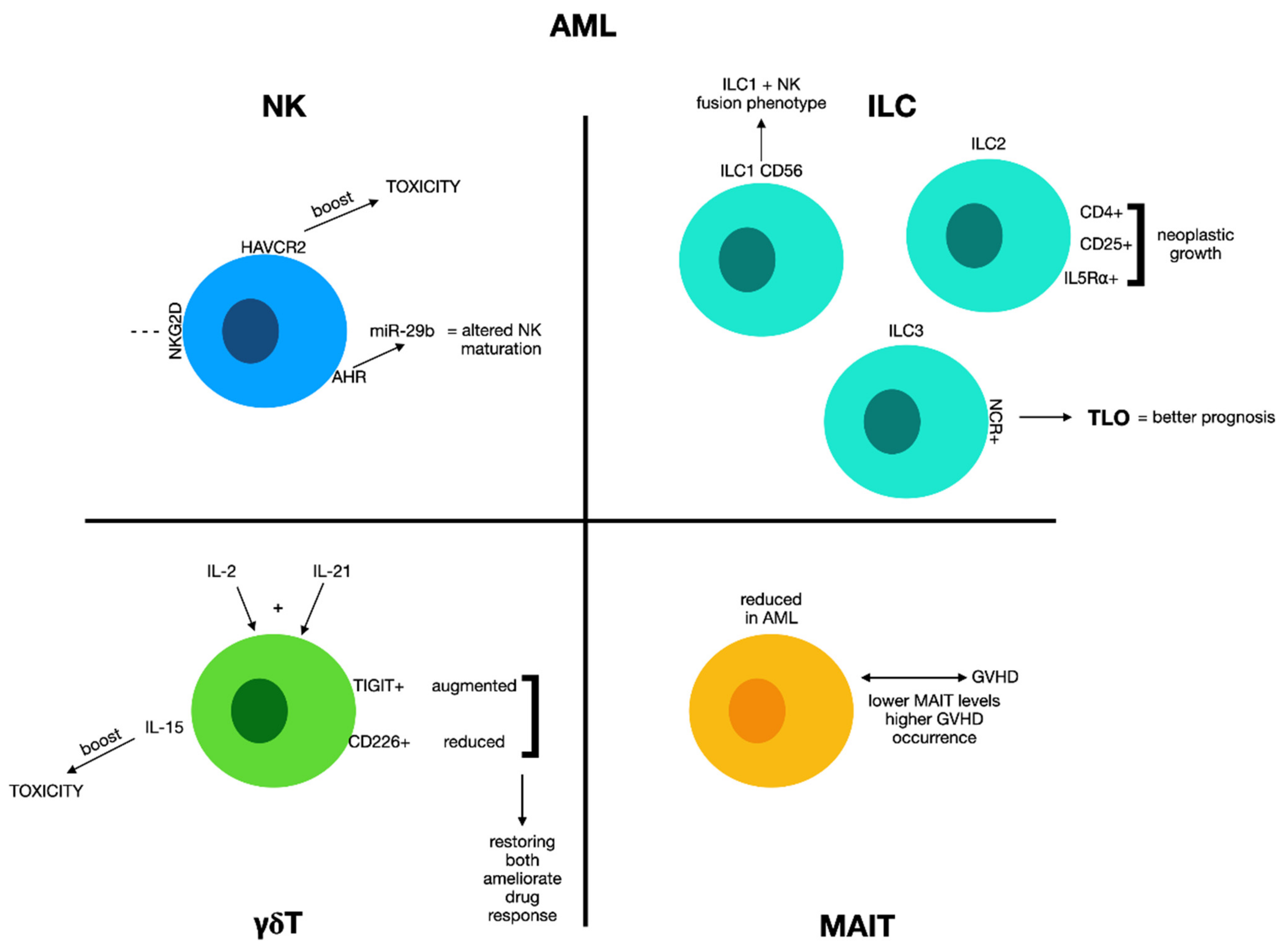 Biomolecules 12 00754 g001 Biomolecules 12 00754 g001