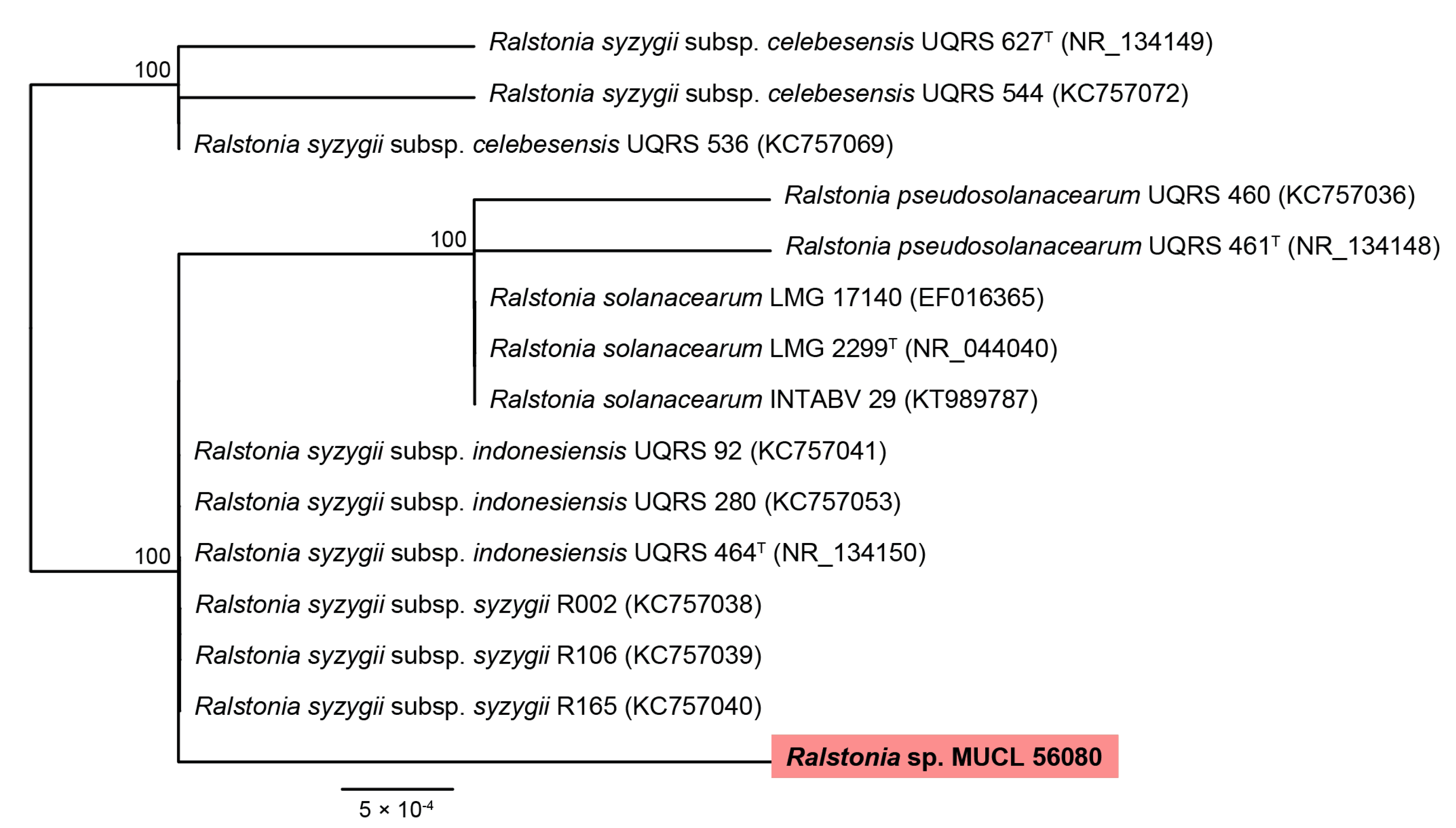 Biomolecules 12 00755 g002