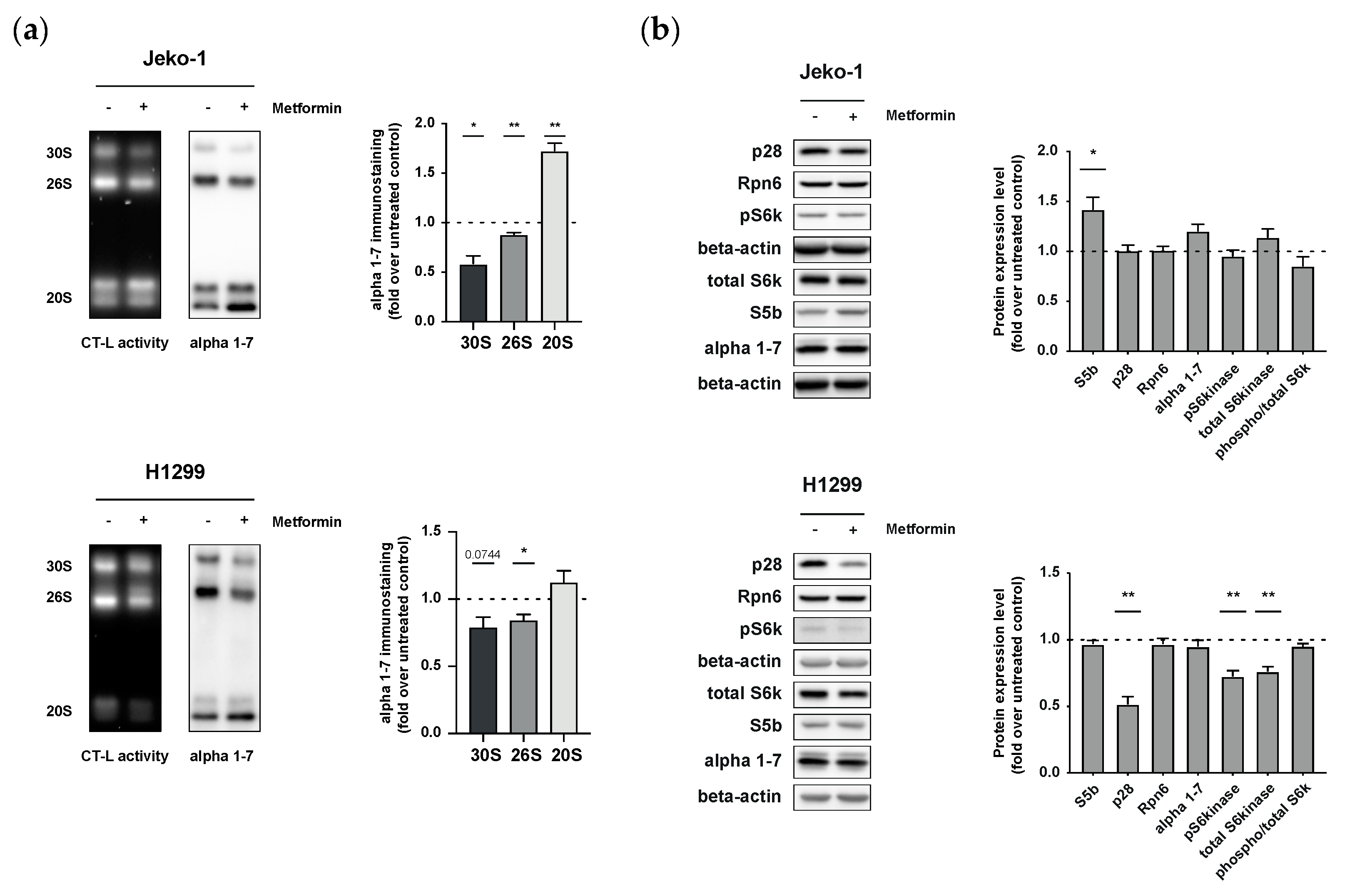 Biomolecules 12 00756 g002 550