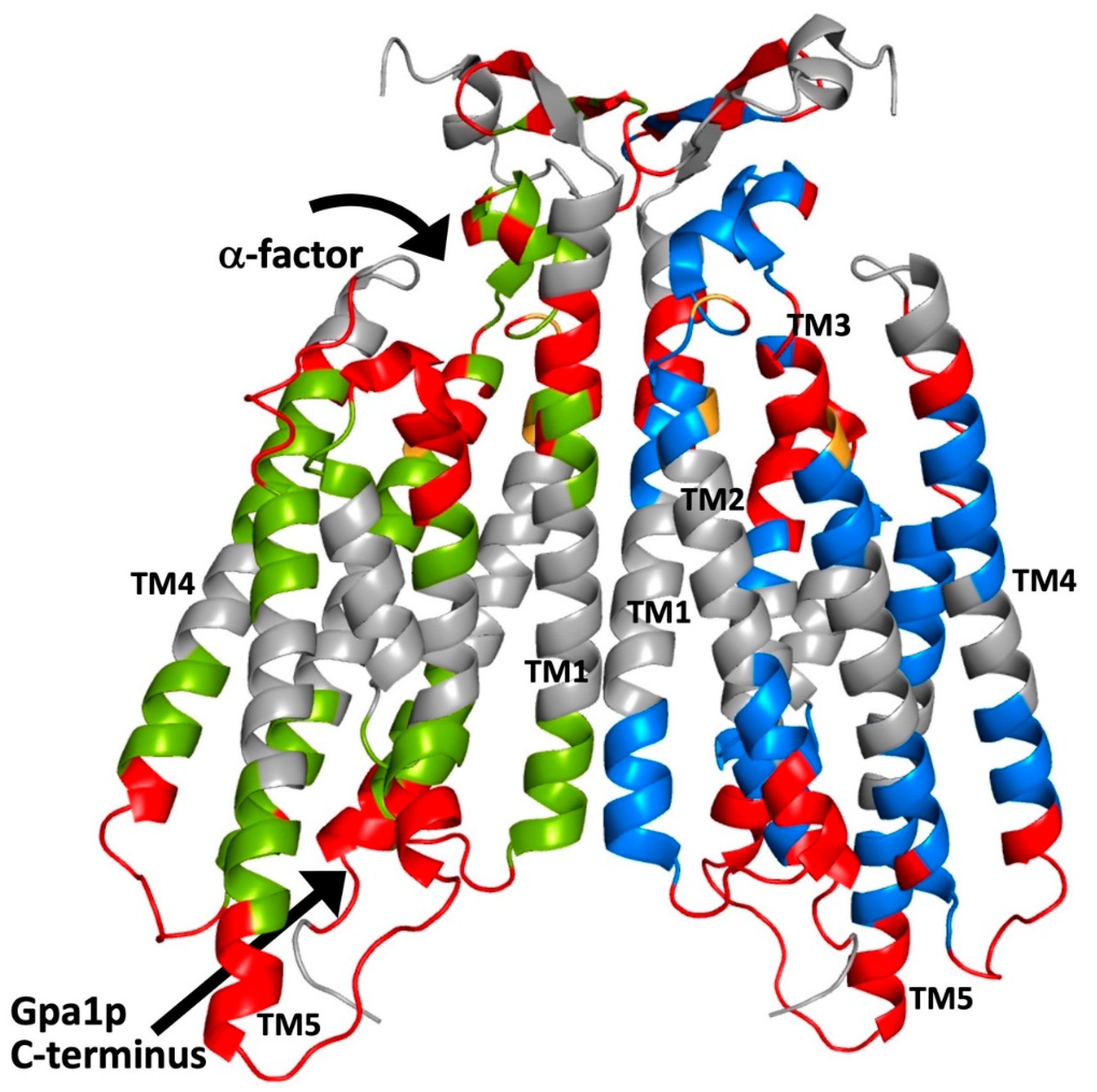 Biomolecules 12 00761 g002