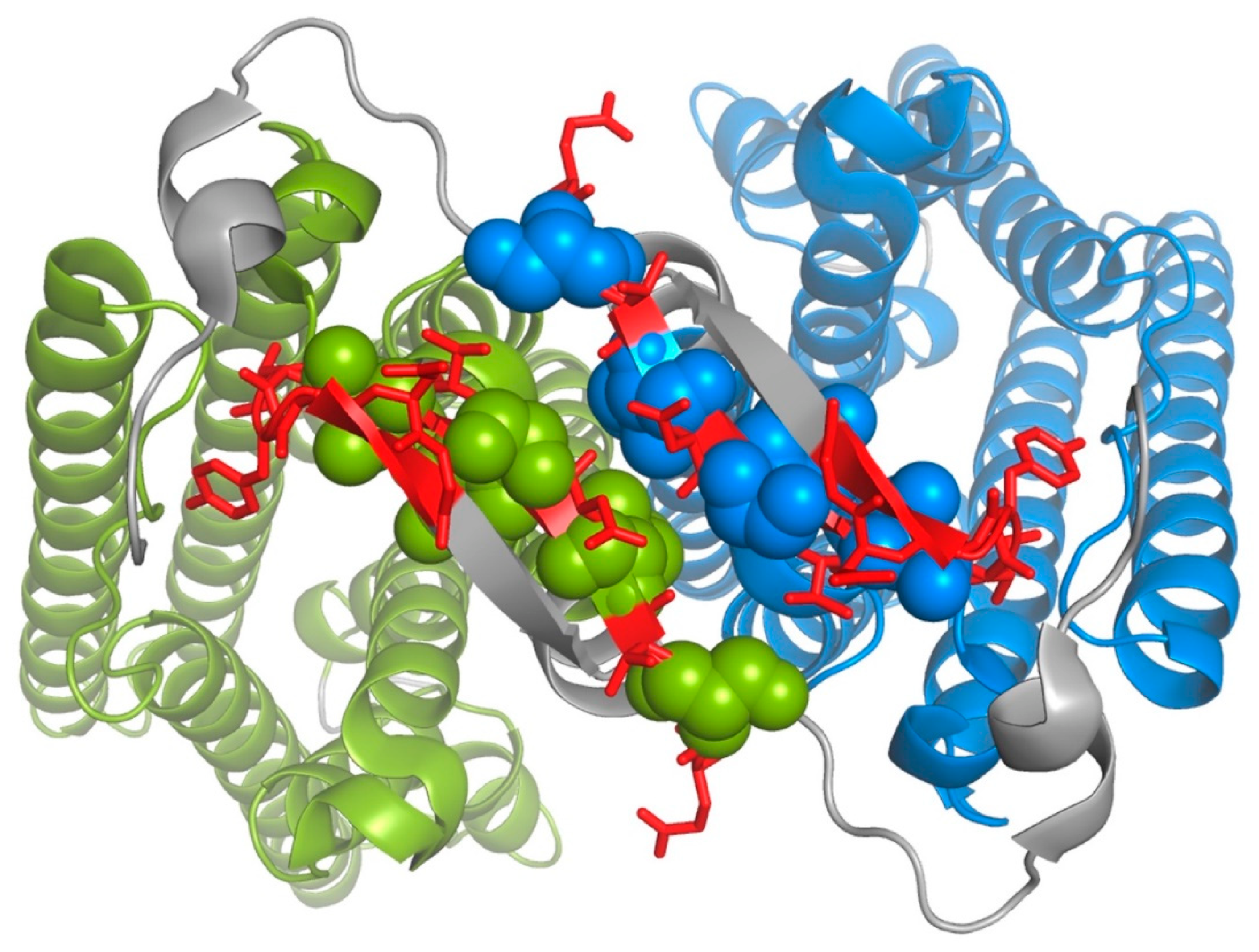 Biomolecules 12 00761 g003