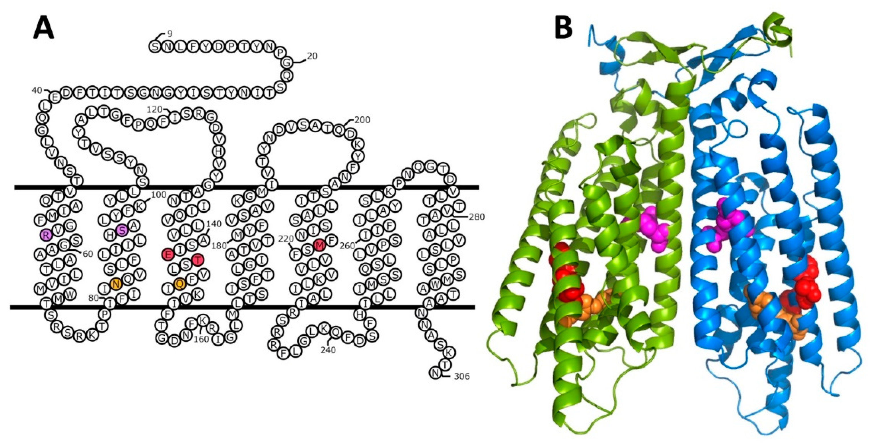 Biomolecules 12 00761 g004