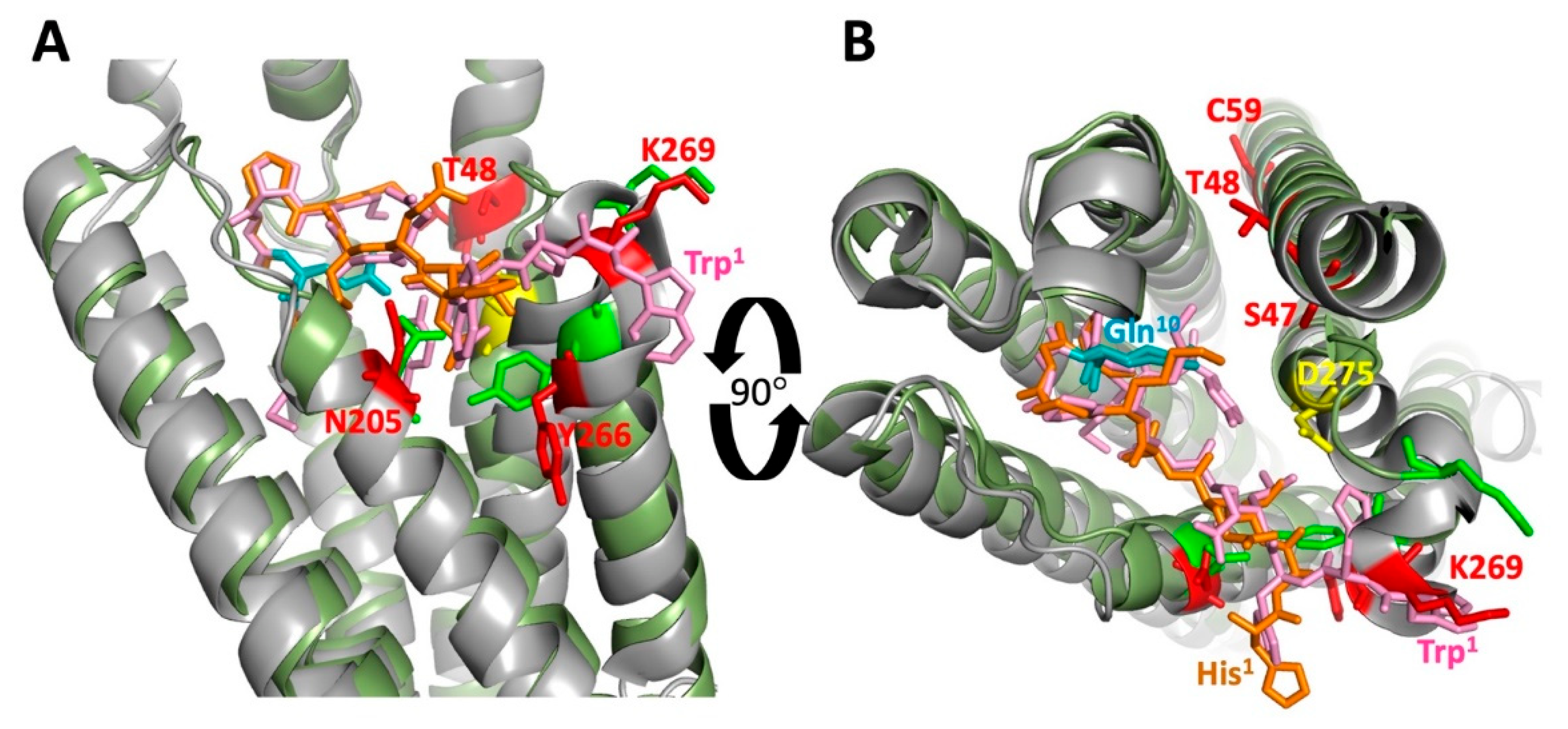 Biomolecules 12 00761 g006