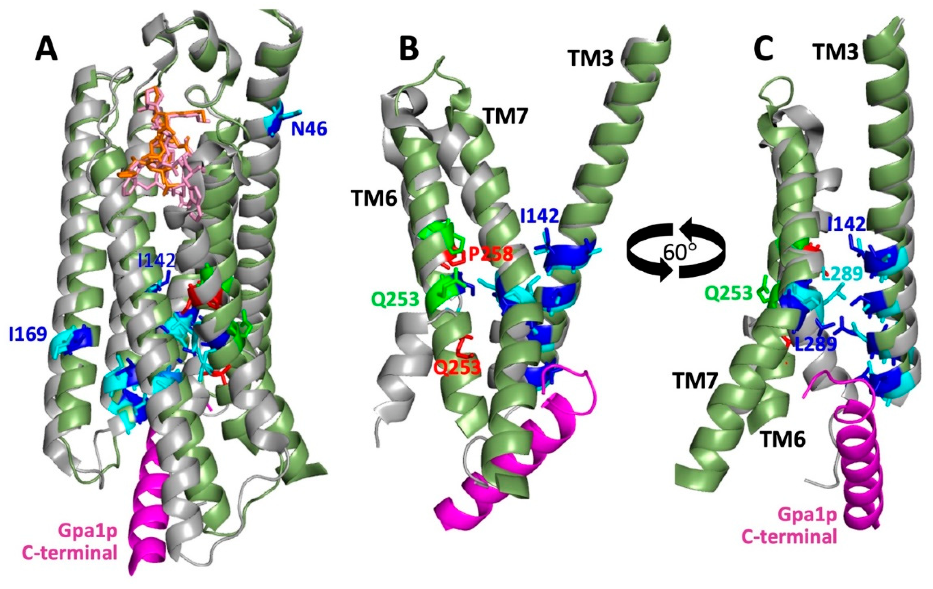 Biomolecules 12 00761 g008