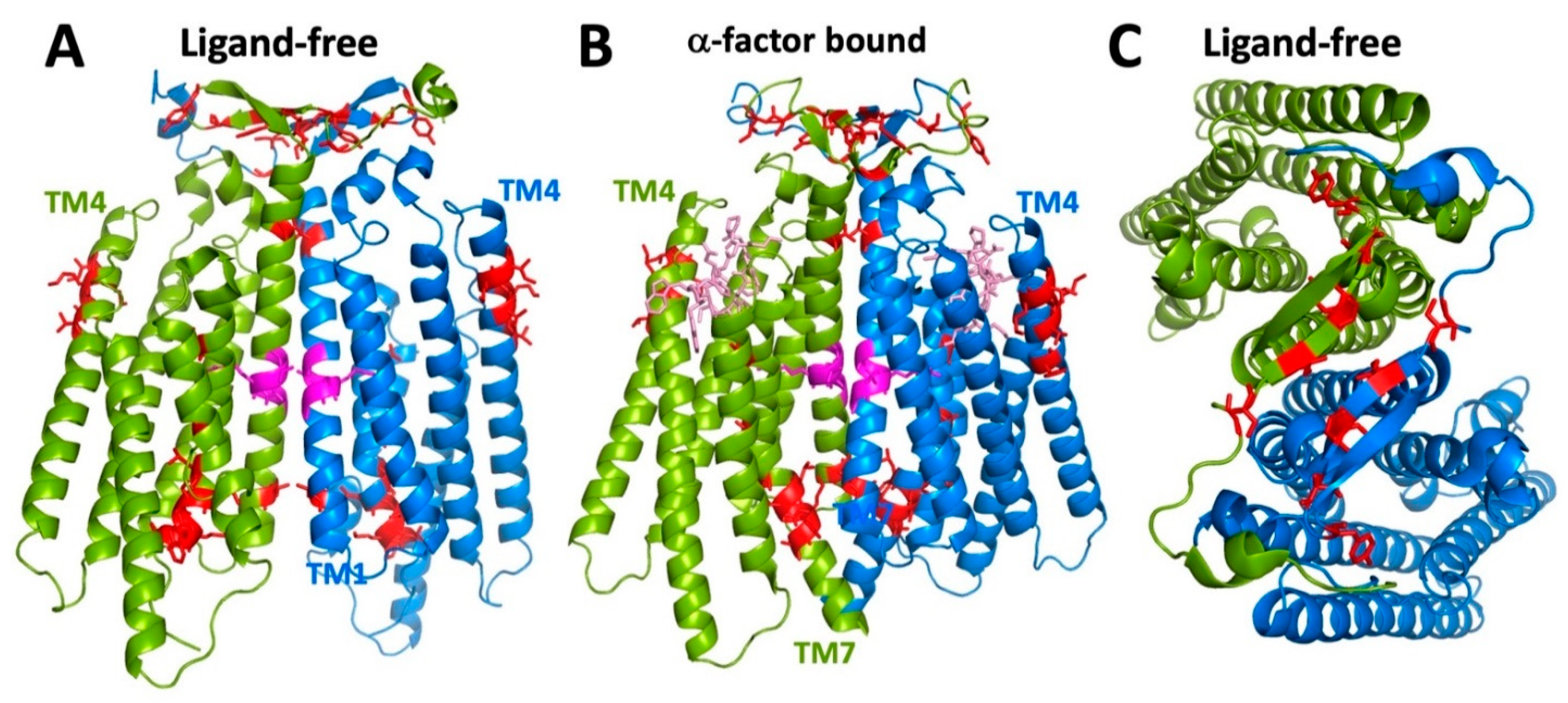 Biomolecules 12 00761 g009