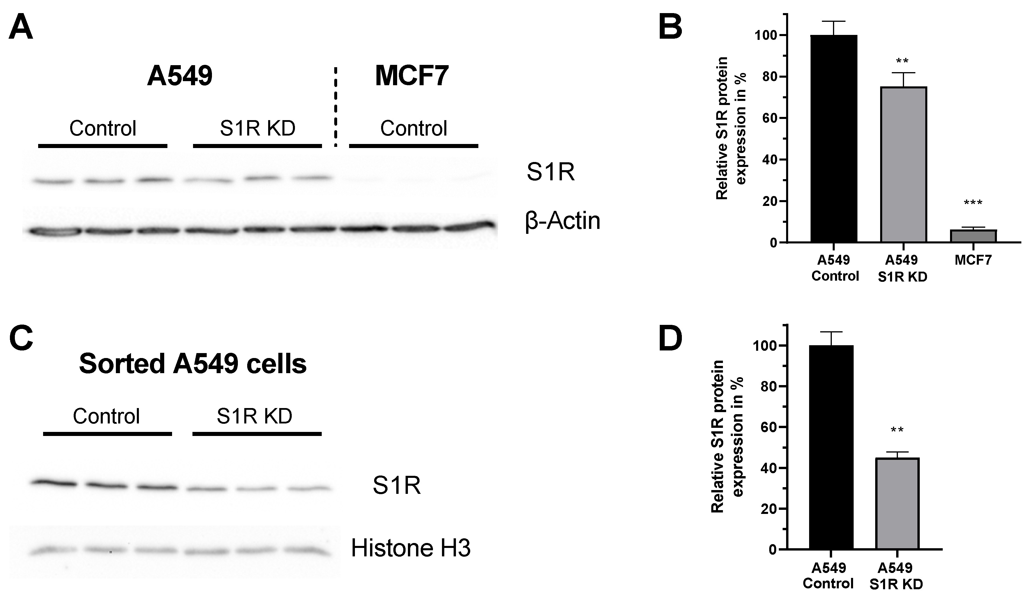 Biomolecules 12 00762 g001 550