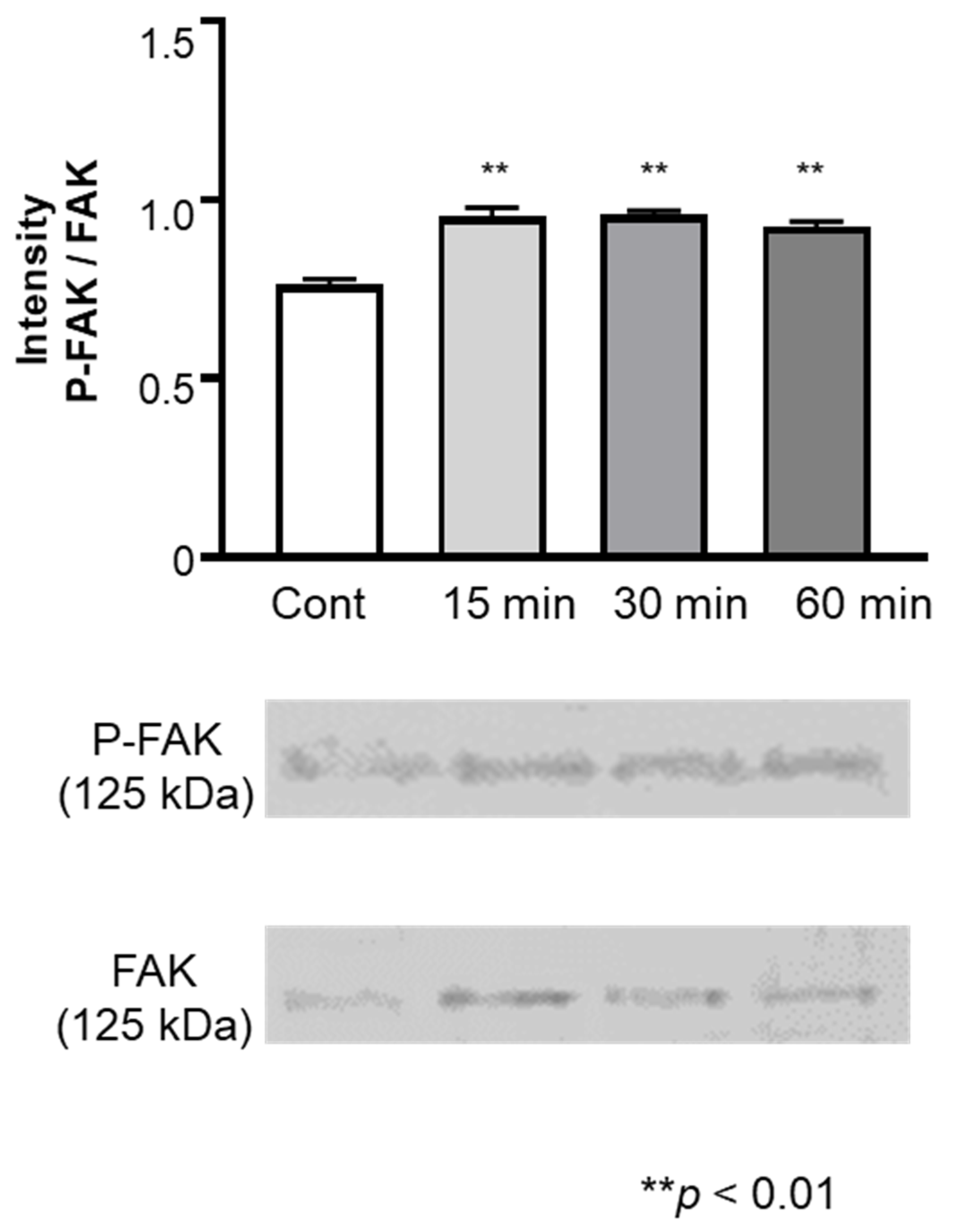 Biomolecules 12 00771 g004