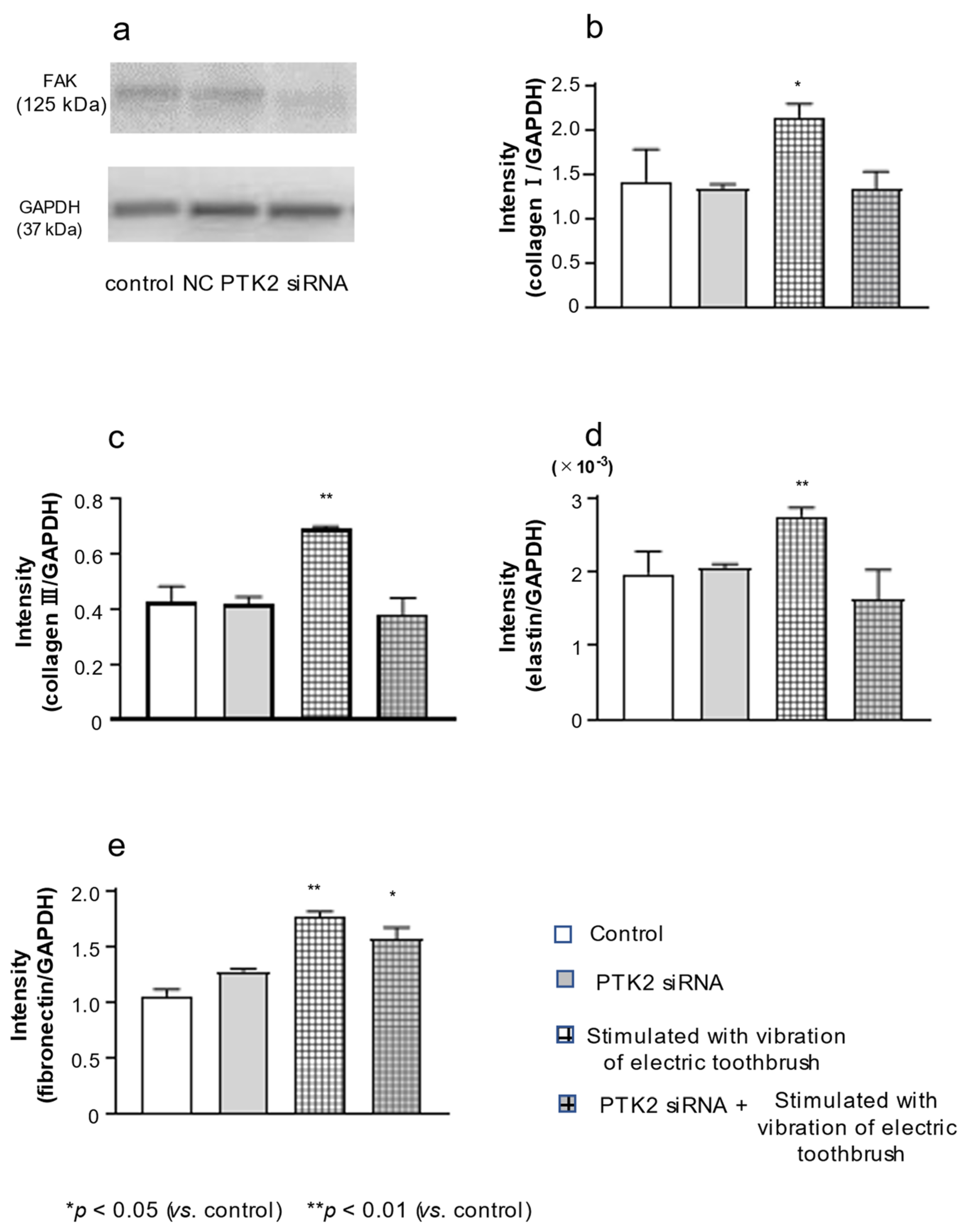 Biomolecules 12 00771 g005
