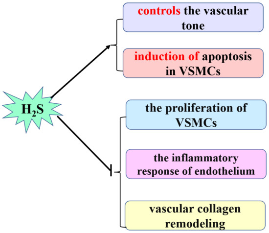Implications of Hydrogen Sulfide in Development of Pulmonary Hypertension