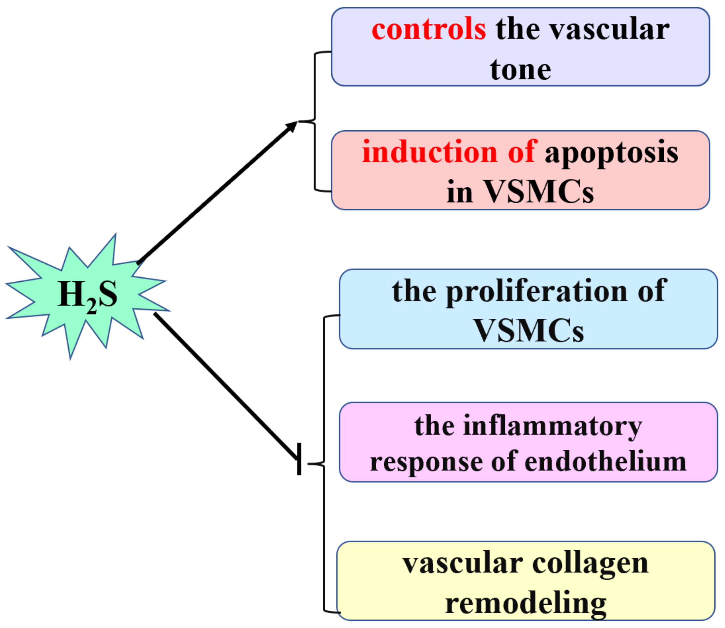 Biomolecules 12 00772 g001 550