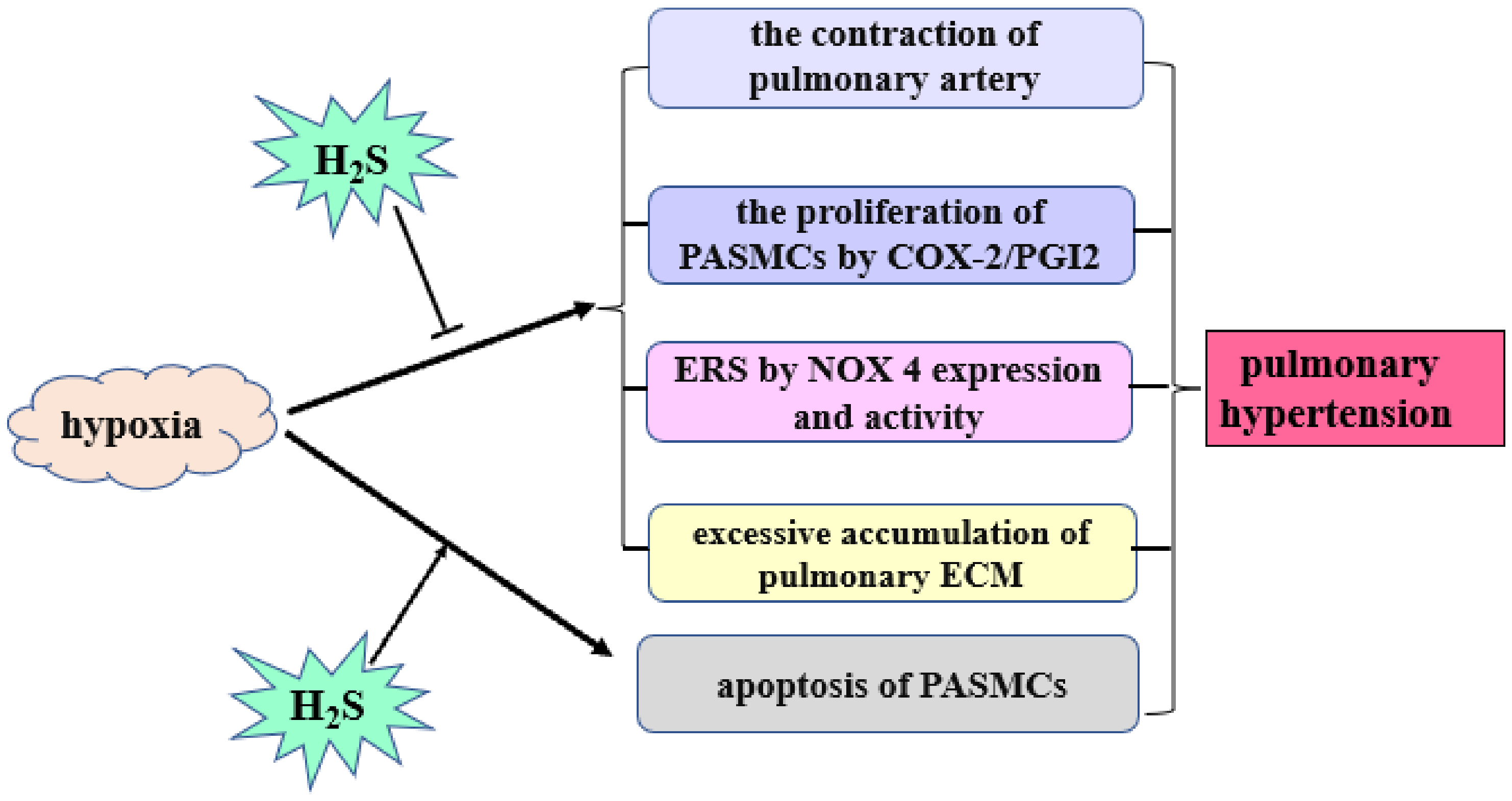 Biomolecules 12 00772 g002 550