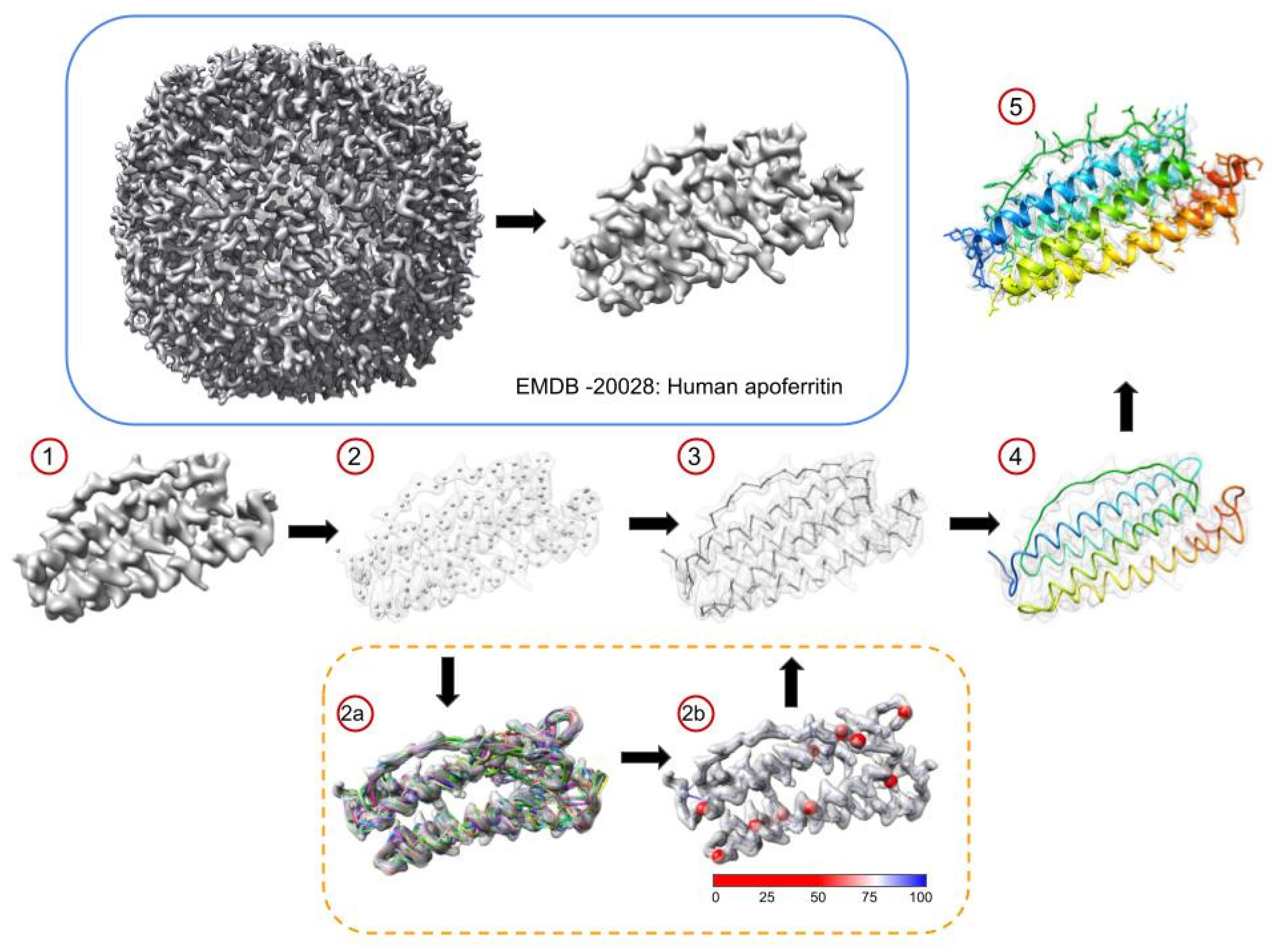 Biomolecules 12 00773 g001 550