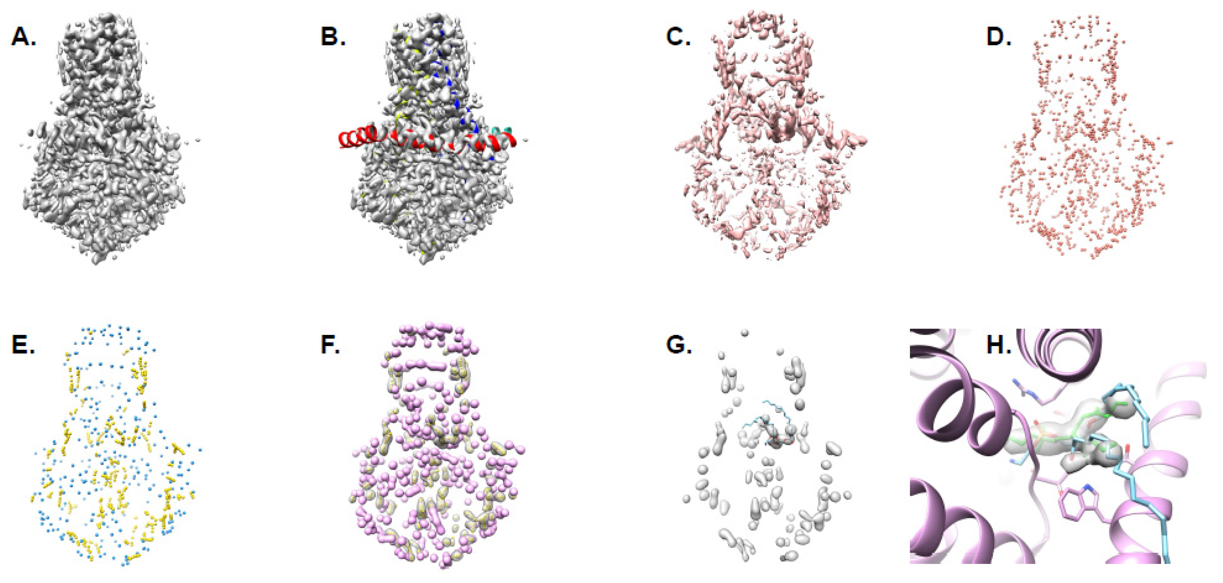 Biomolecules 12 00773 g002 550
