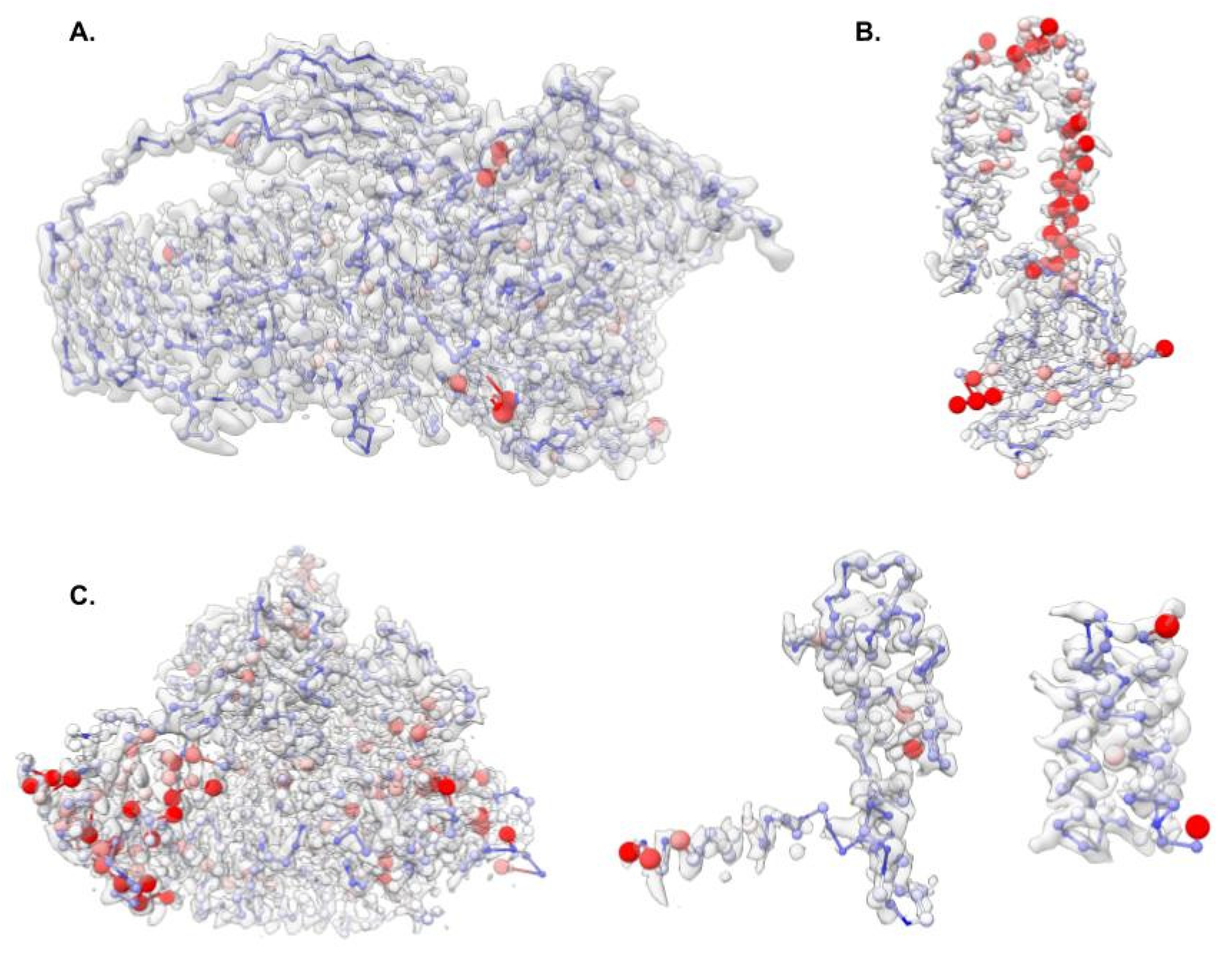 Biomolecules 12 00773 g003 550