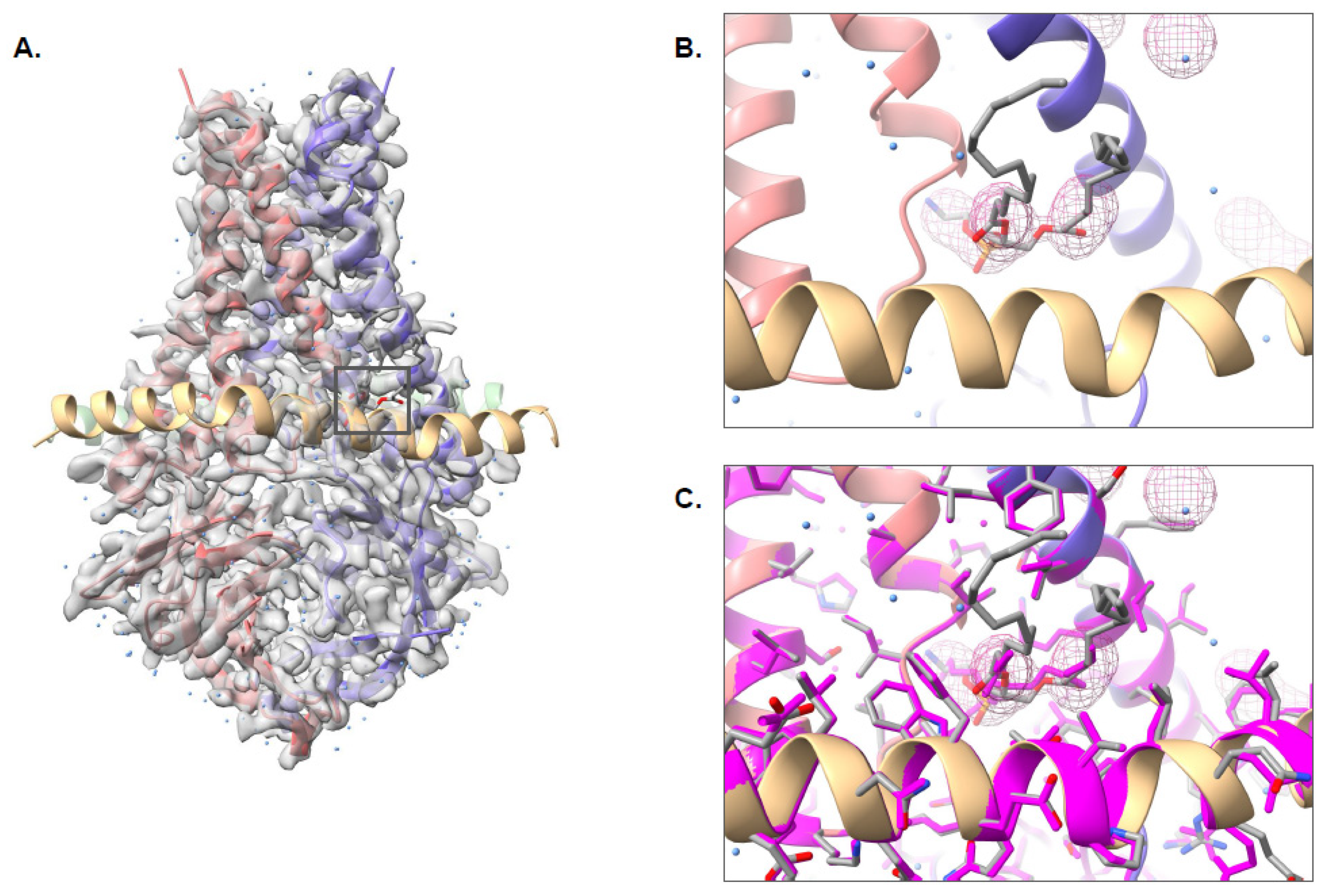Biomolecules 12 00773 g005 550