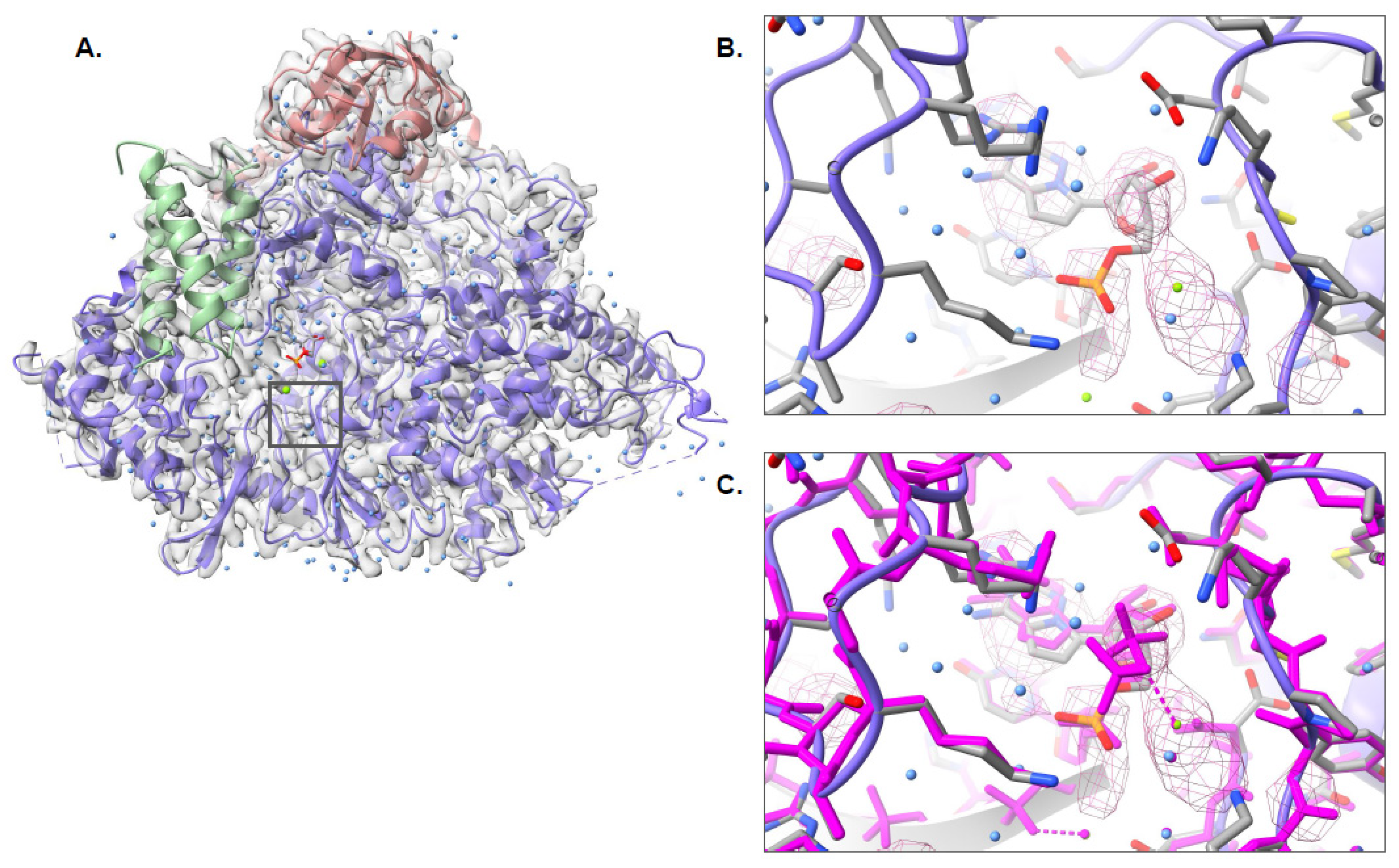 Biomolecules 12 00773 g006 550