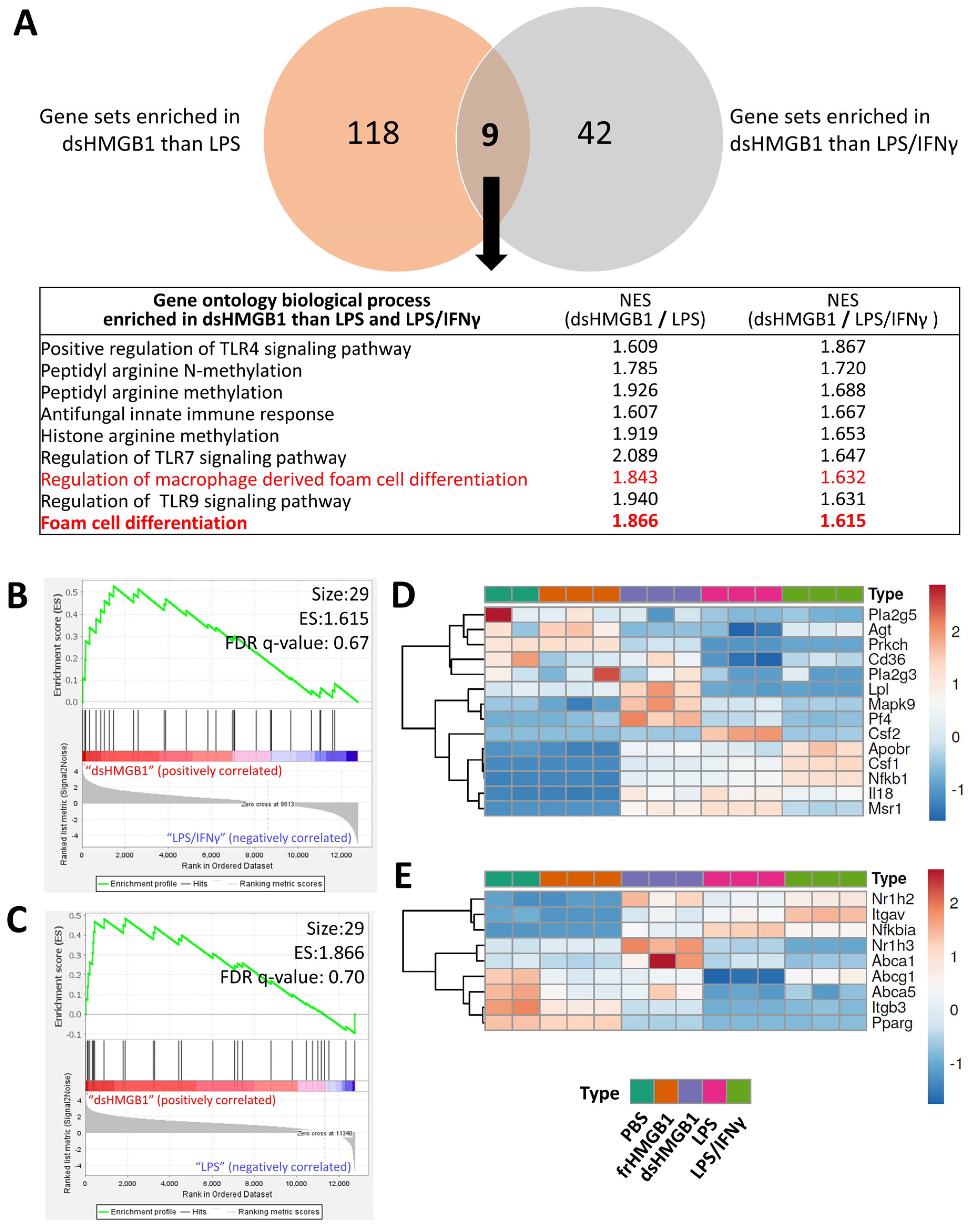 Biomolecules 12 00779 g005
