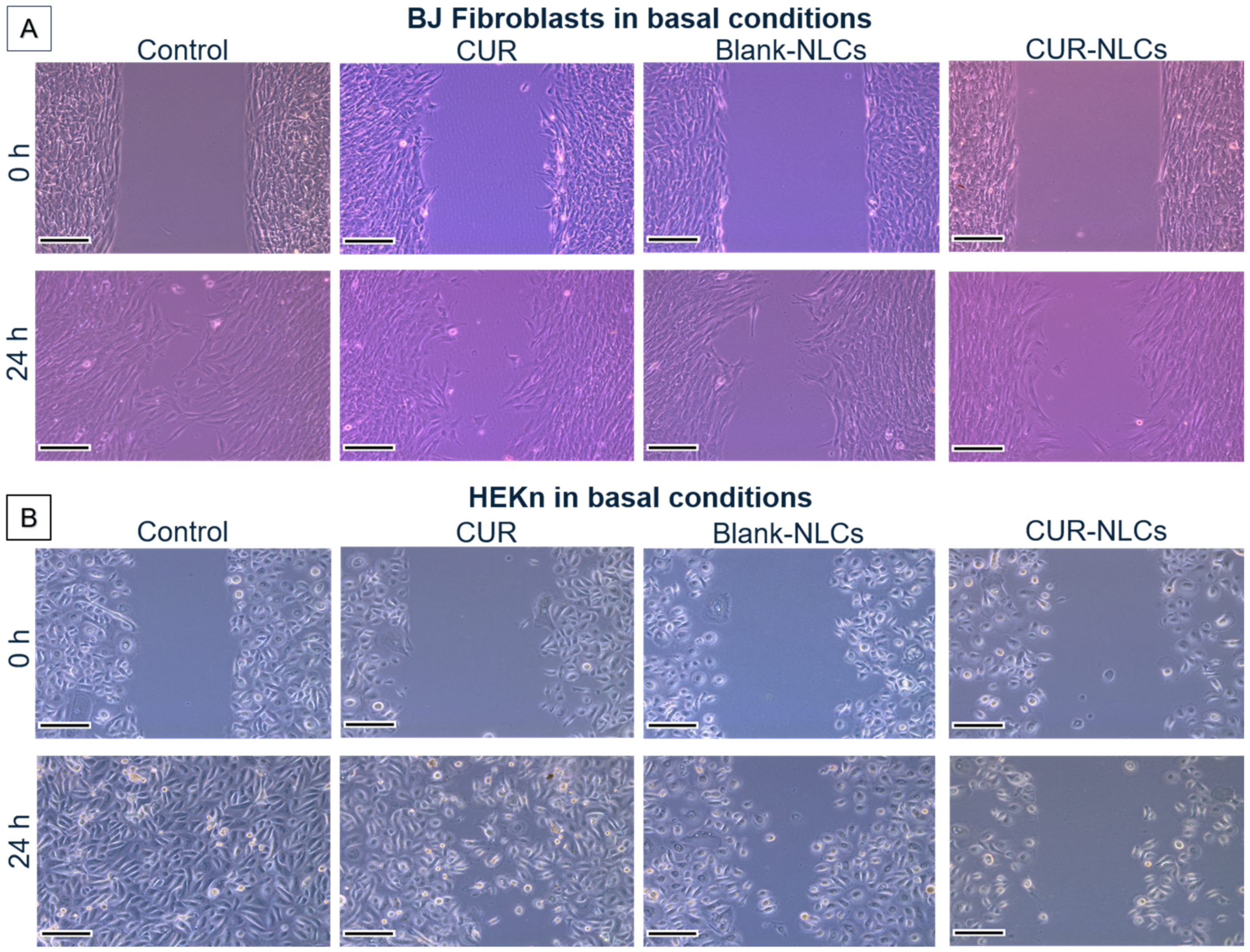 Biomolecules 12 00780 g011 550