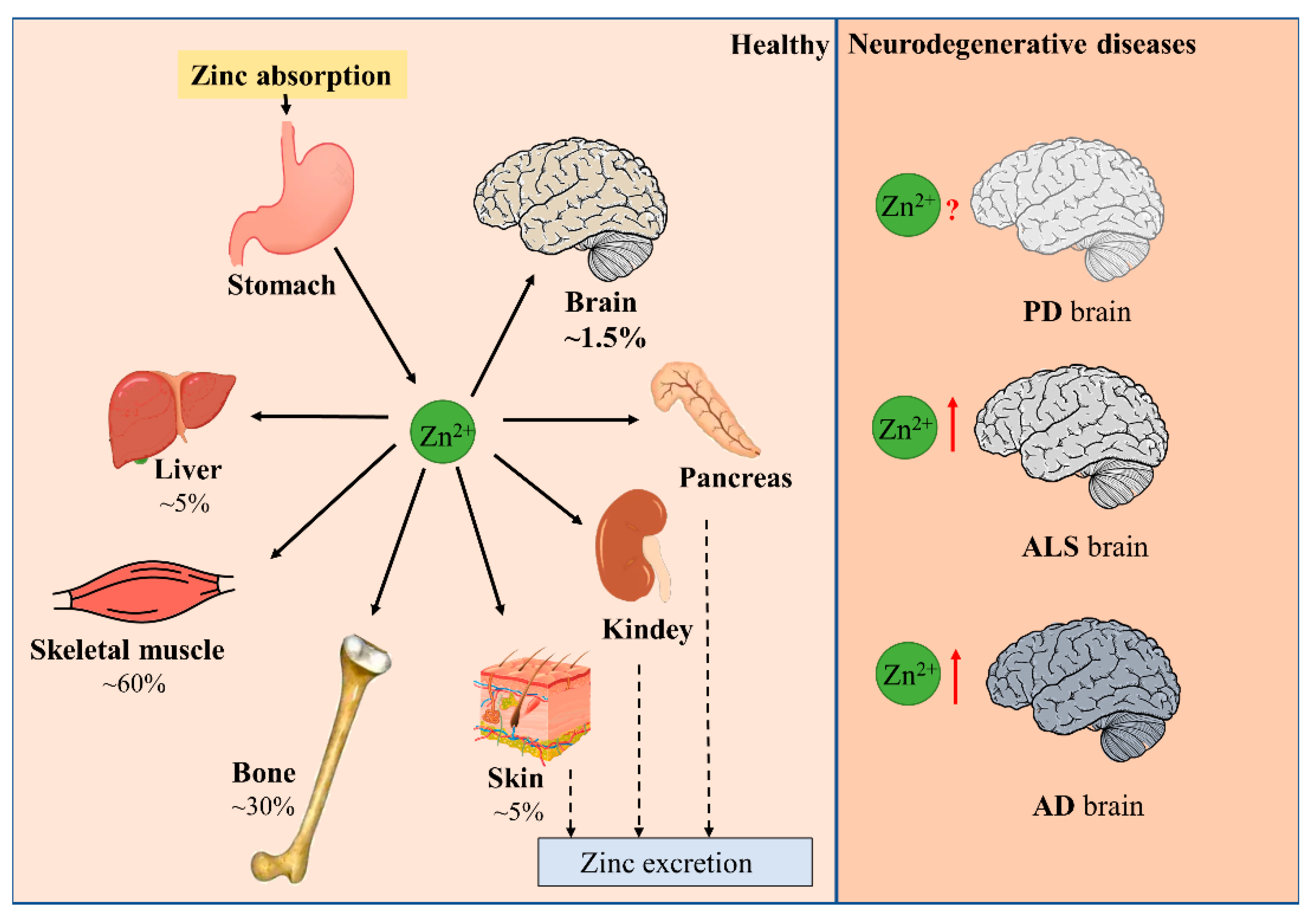 Biomolecules 12 00785 g001