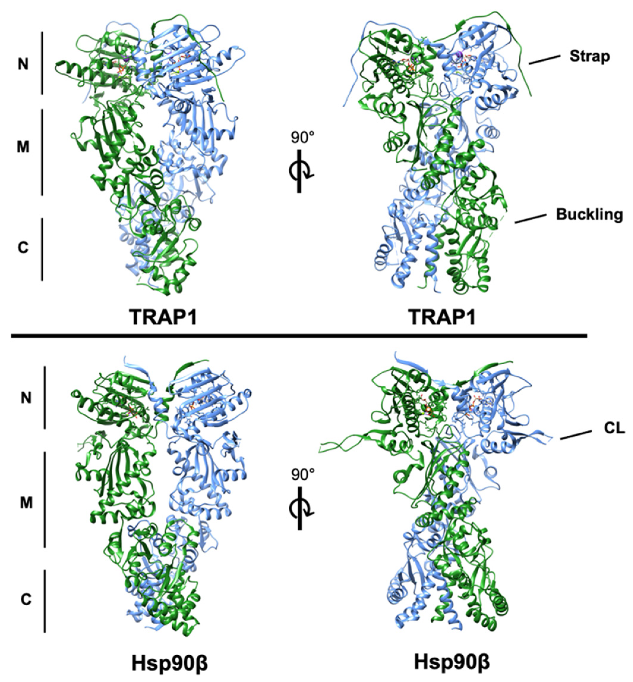 Biomolecules 12 00786 g001