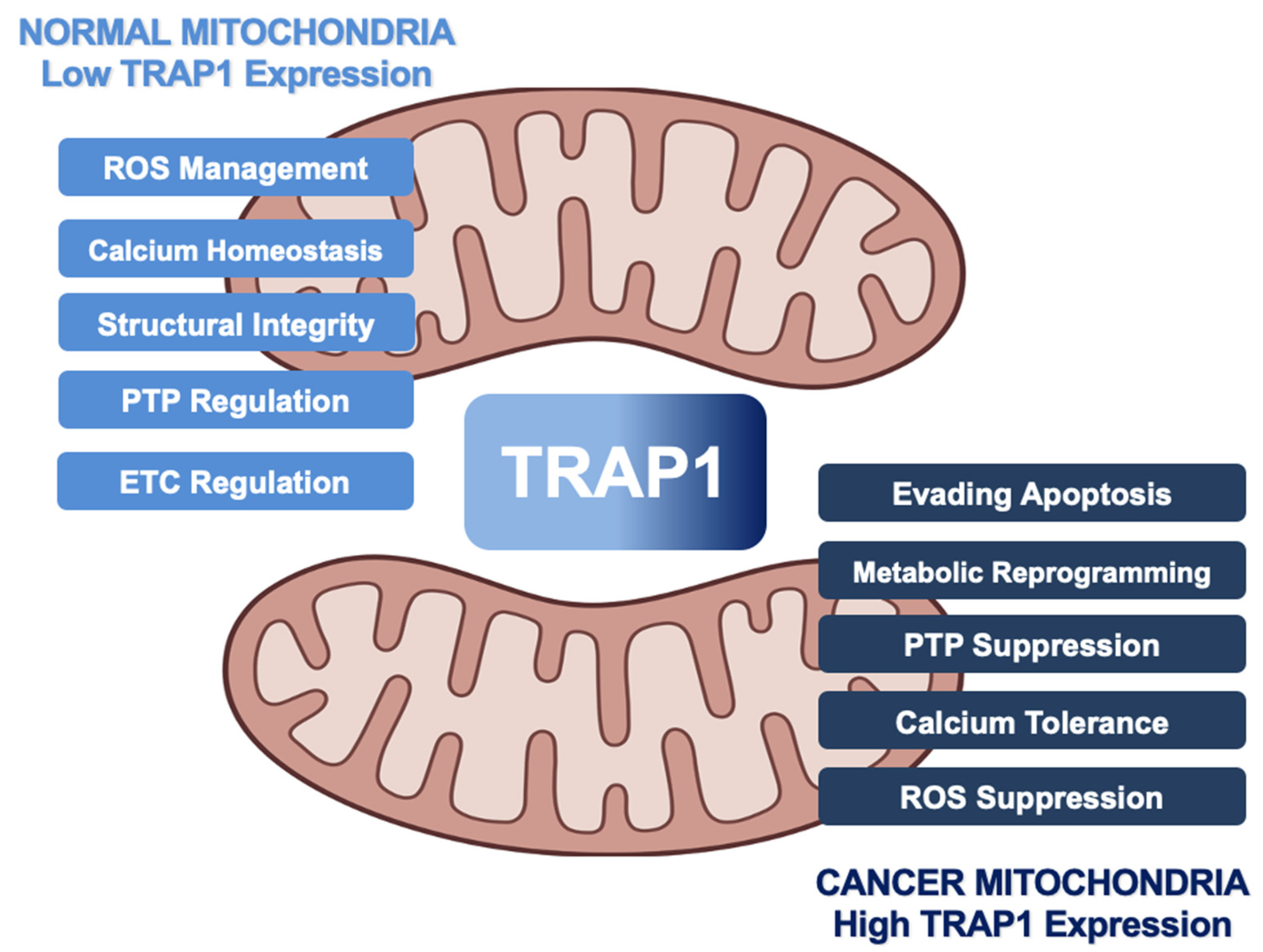 Biomolecules 12 00786 g002