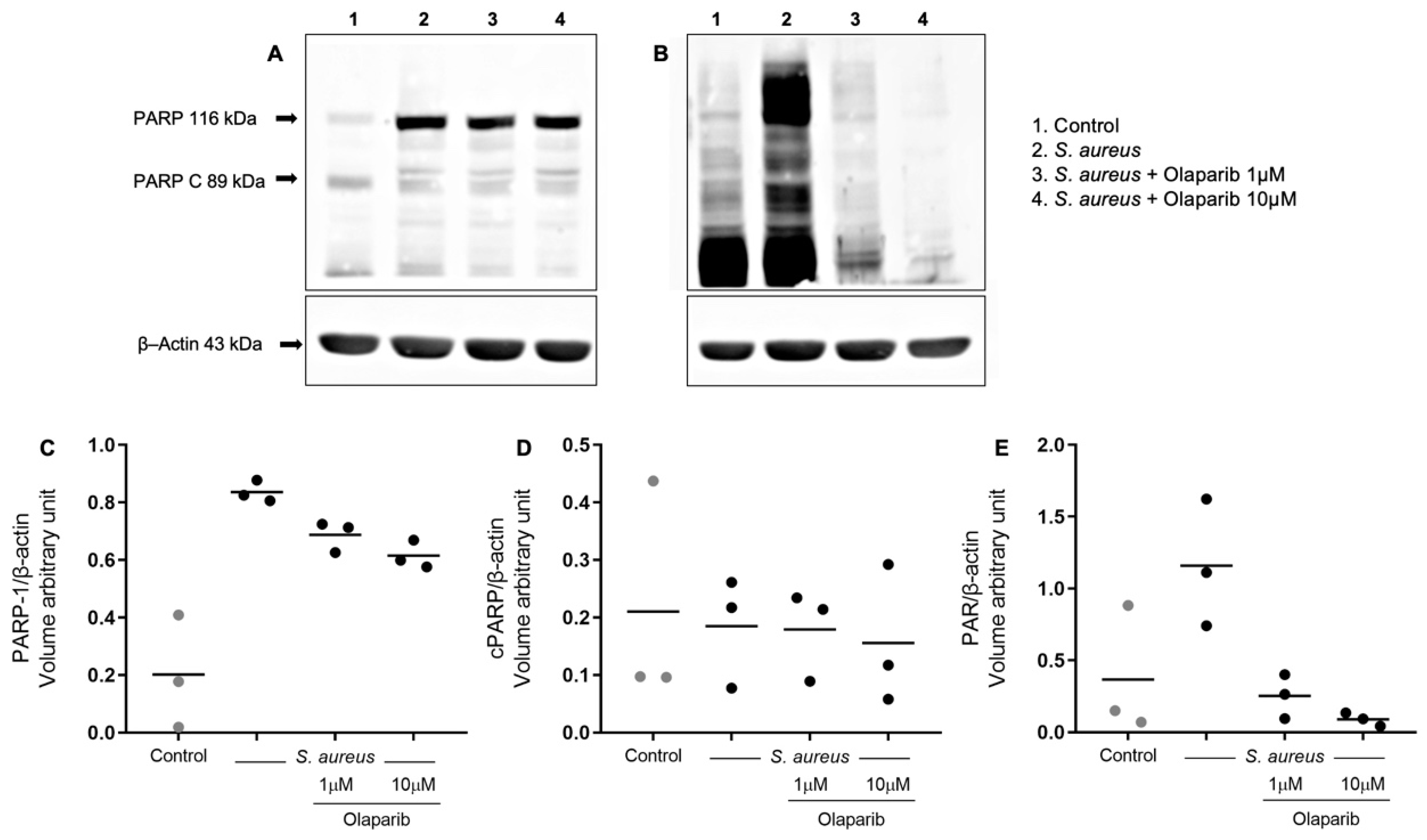 Biomolecules 12 00788 g002 550