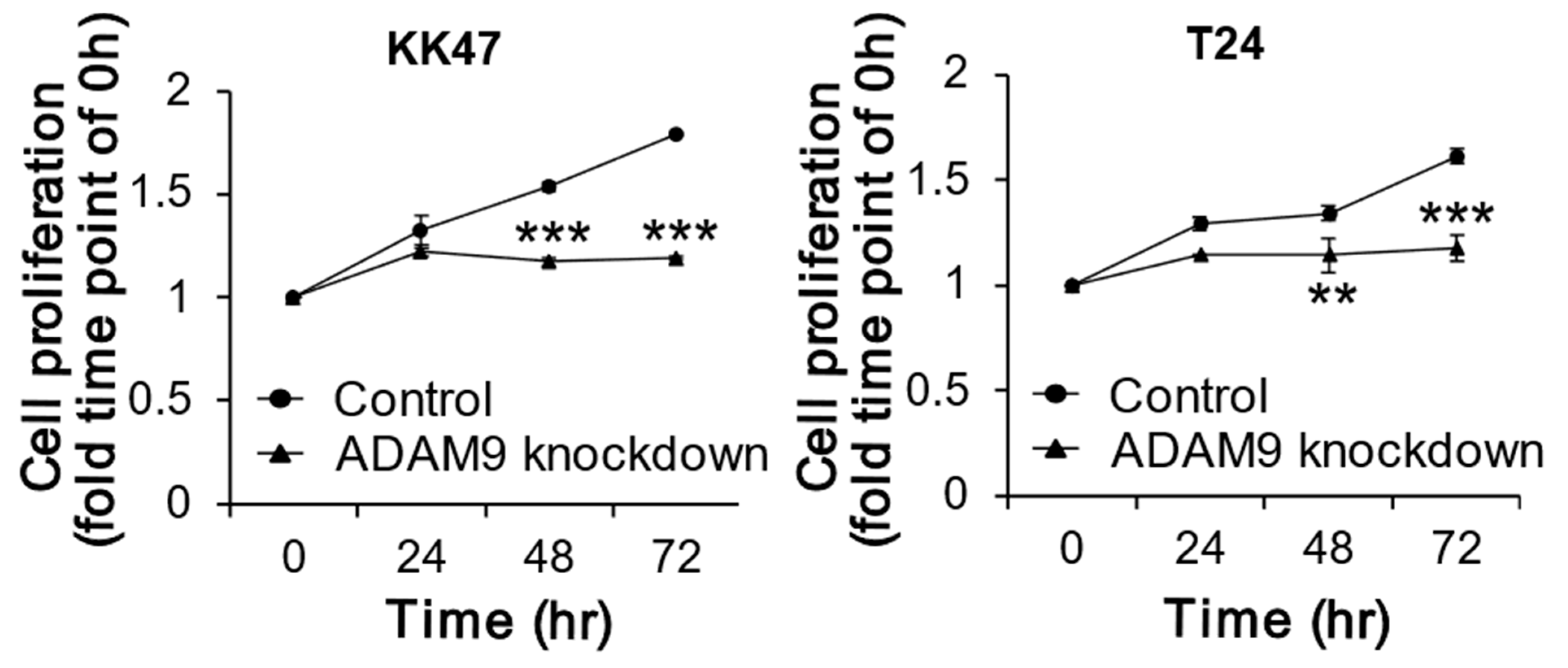Biomolecules 12 00791 g002