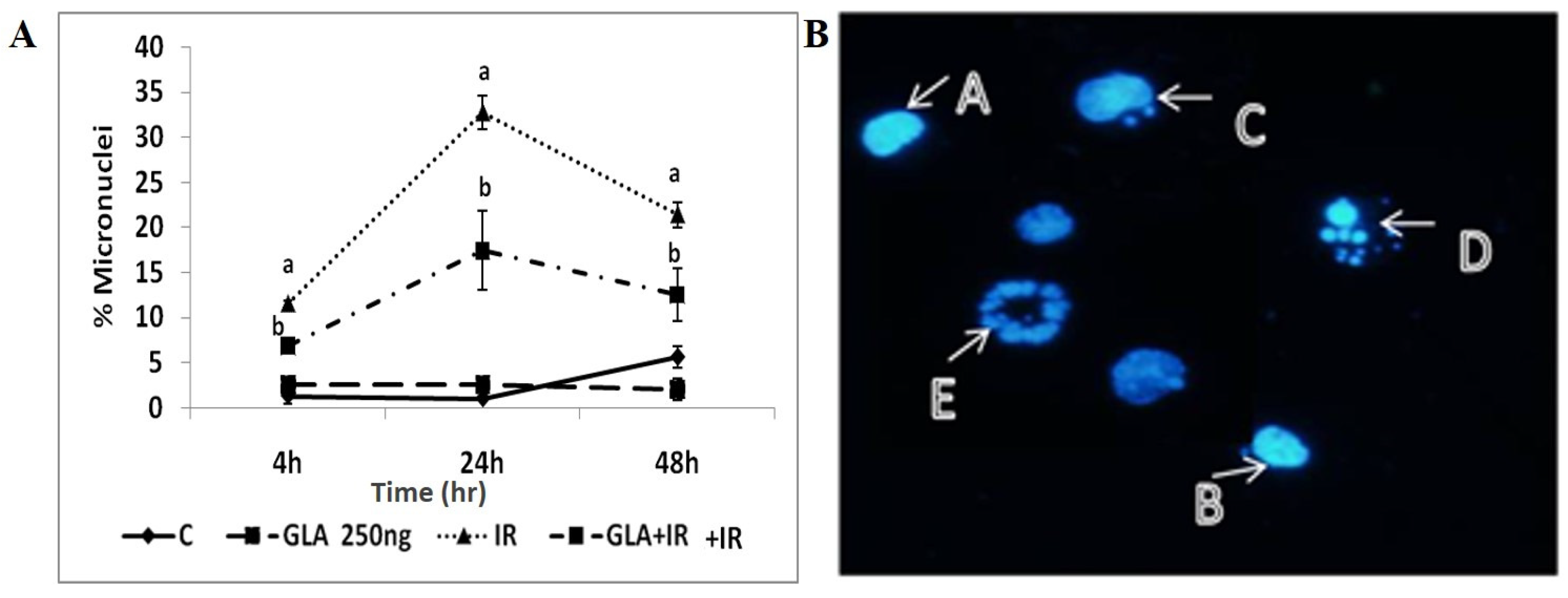 Biomolecules 12 00797 g005